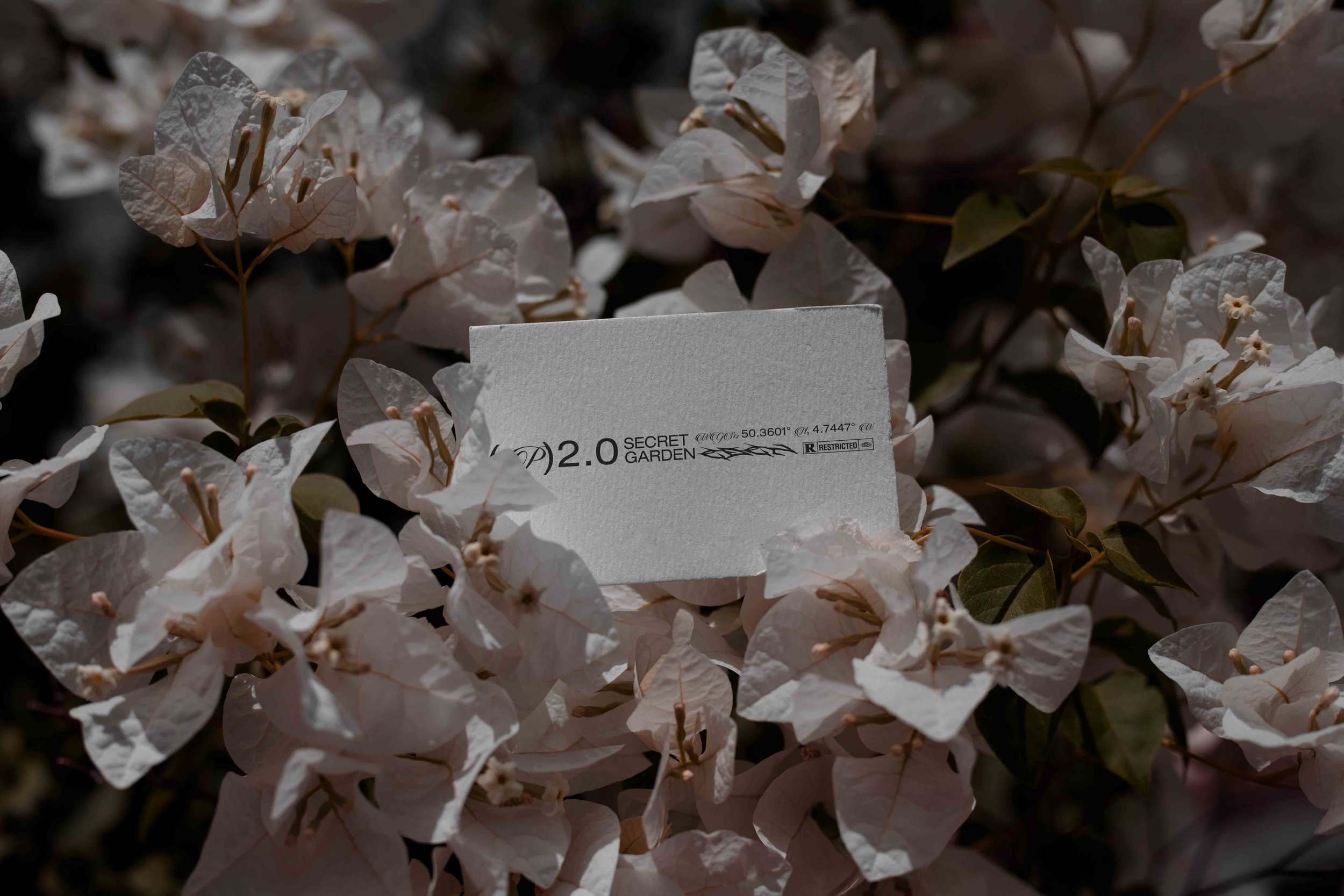 ARKIVAL_EDEN_02_BUSINESSCARD_11.jpg