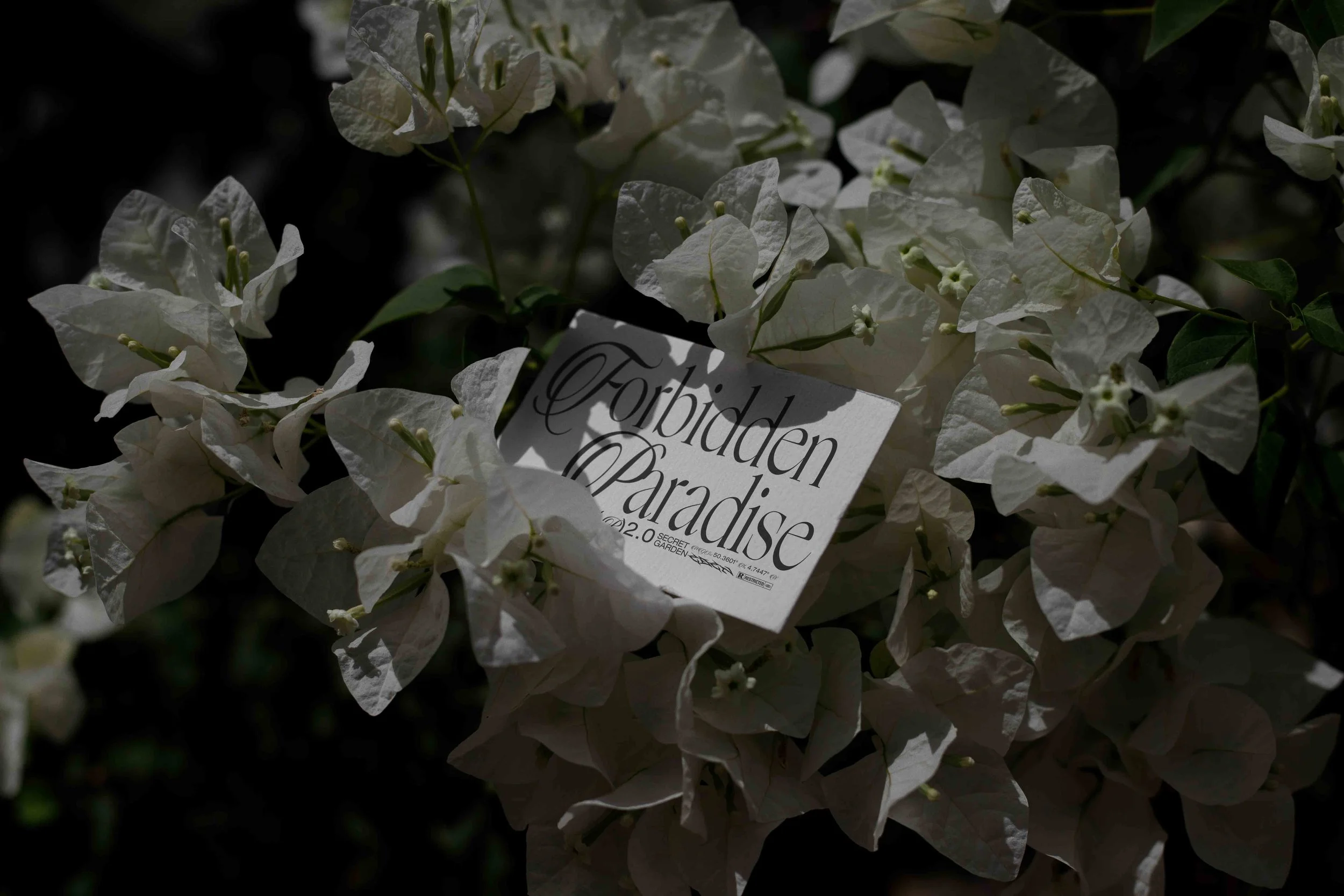 ARKIVAL_EDEN_02_BUSINESSCARD_12.jpg