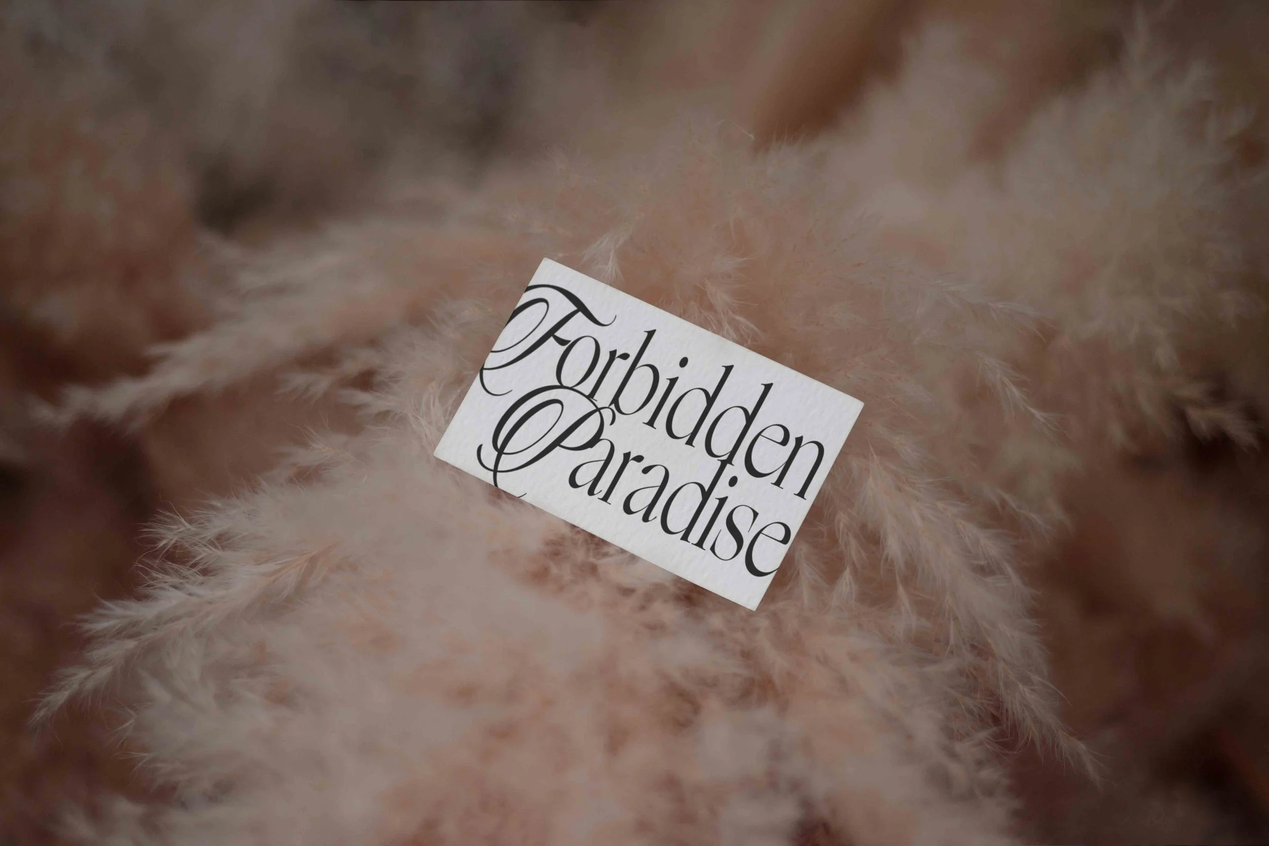 ARKIVAL_EDEN_02_BUSINESSCARD_13.jpg