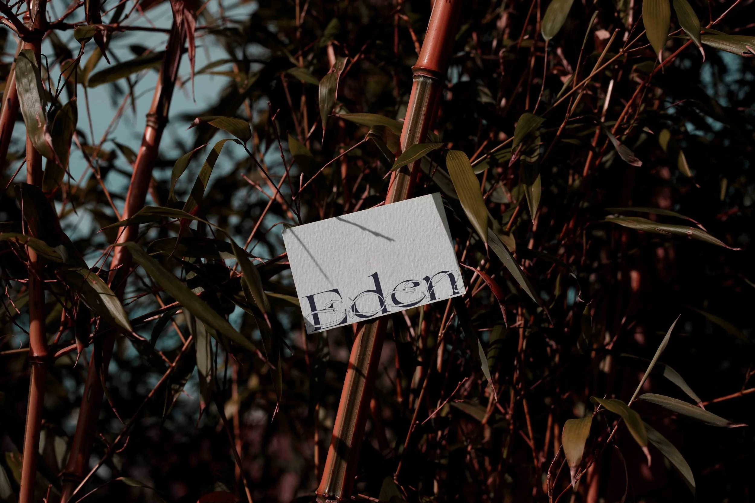 ARKIVAL_EDEN_02_BUSINESSCARD_14.jpg