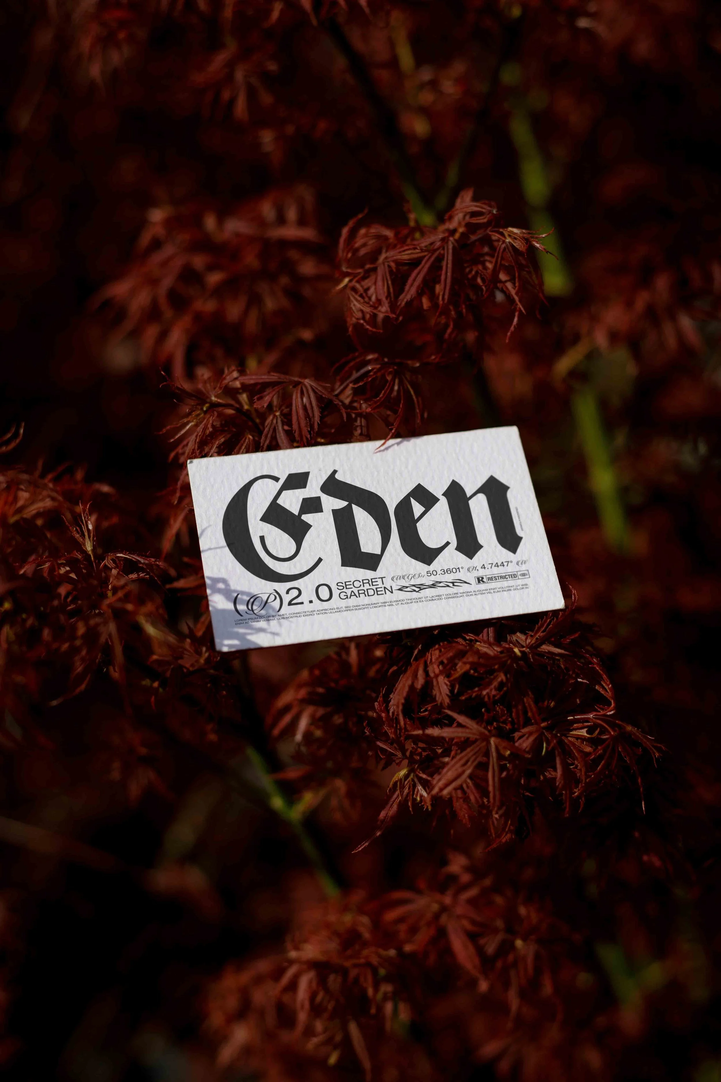ARKIVAL_EDEN_02_BUSINESSCARD_15.jpg