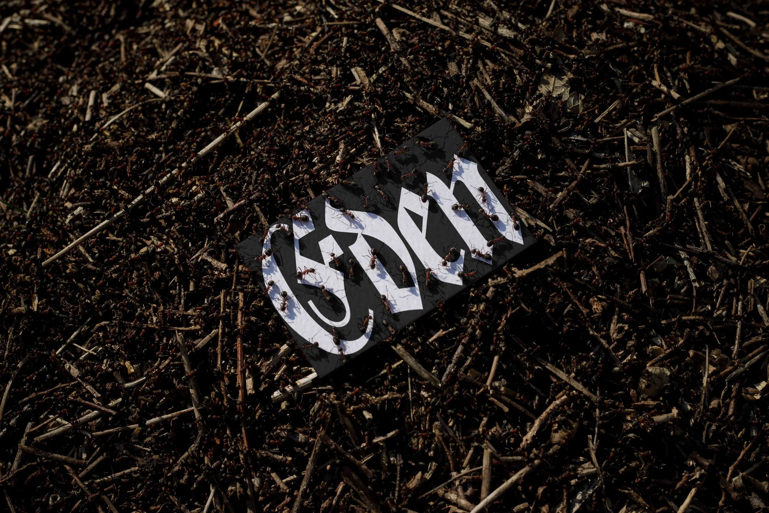 ARKIVAL_EDEN_02_BUSINESSCARD_18.jpg