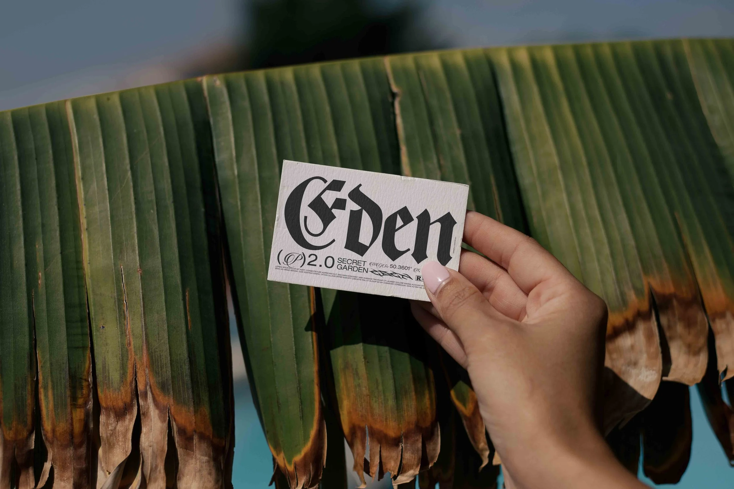 ARKIVAL_EDEN_02_BUSINESSCARD_20.jpg