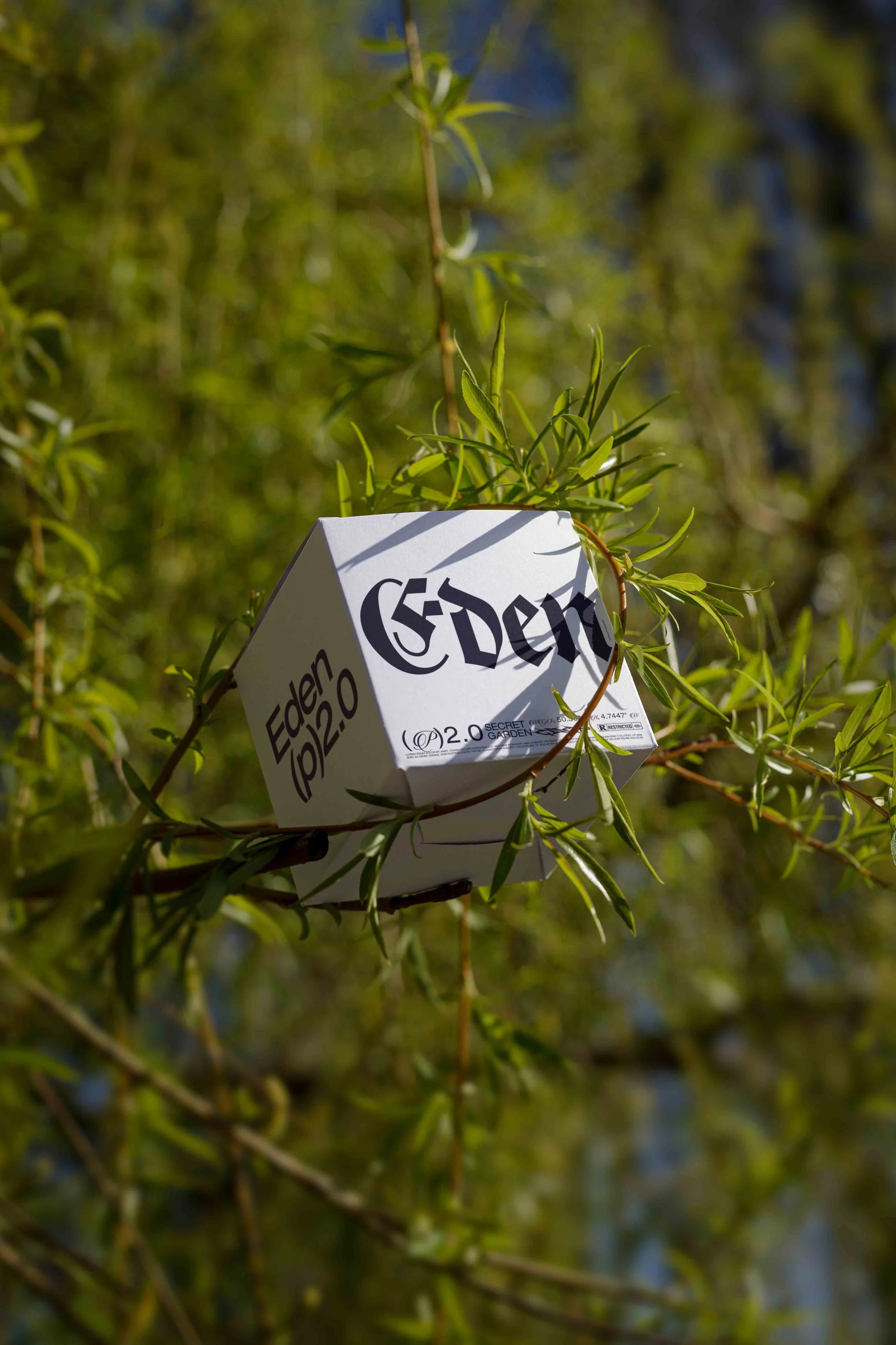 ARKIVAL_EDEN_02_BOX_02.jpg