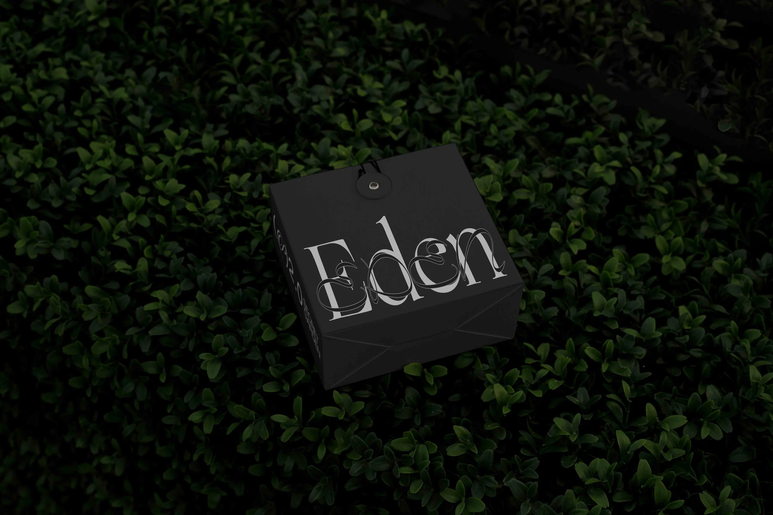 ARKIVAL_EDEN_02_BOX_03.jpg