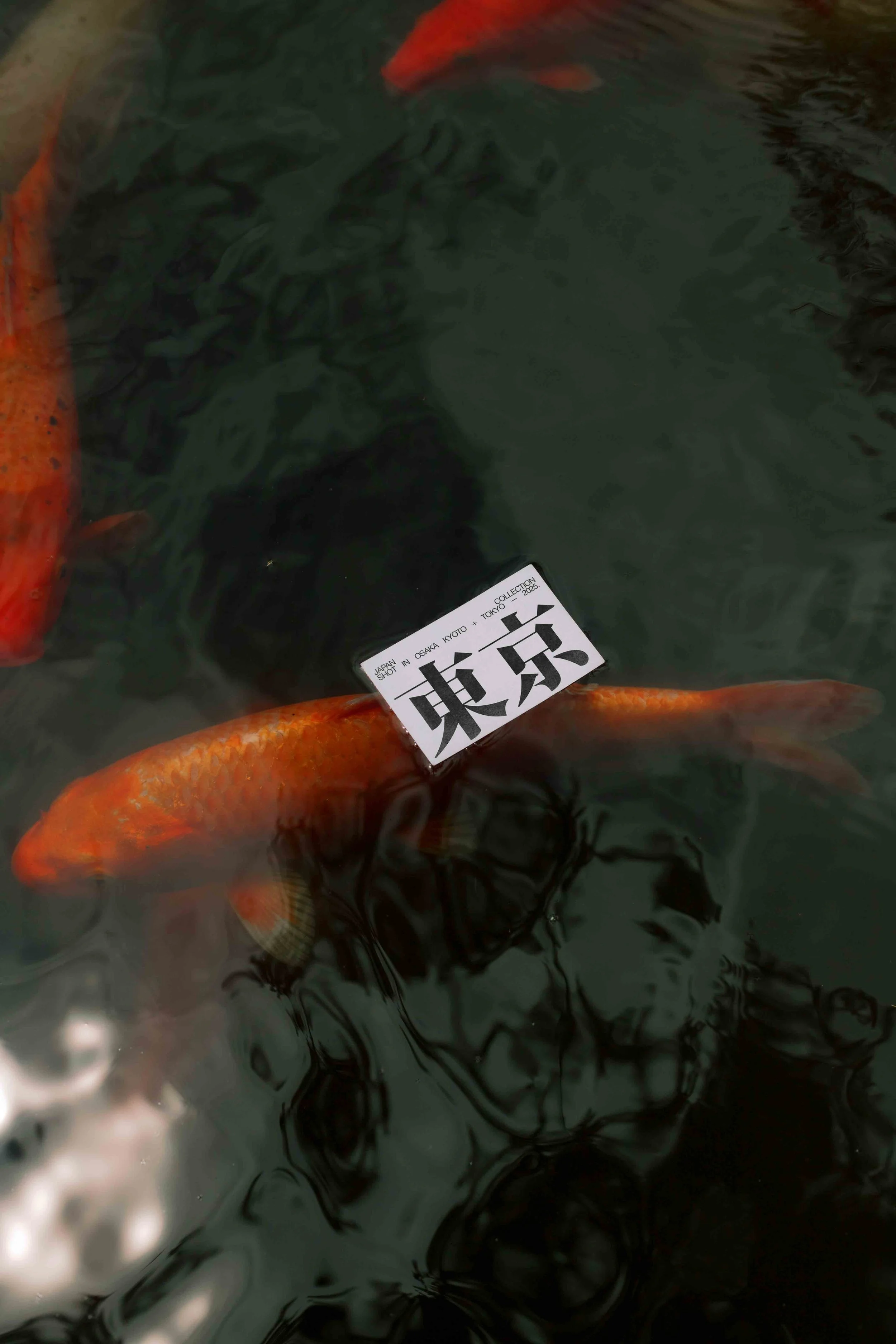 ARKIVAL_JAPAN_BUSINESSCARD_01.jpg