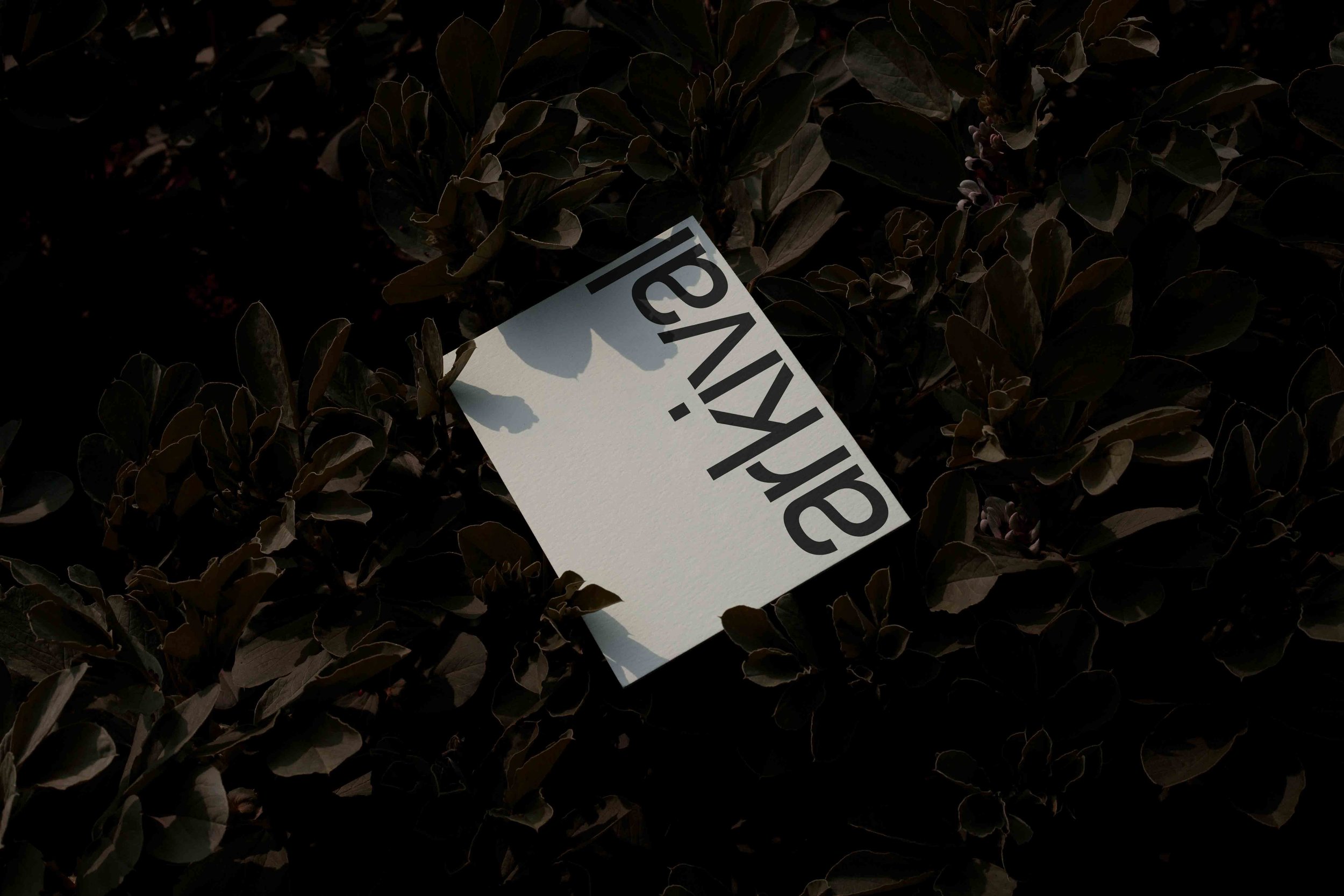 ARKIVAL_EDEN_POSTER_02_1.jpg