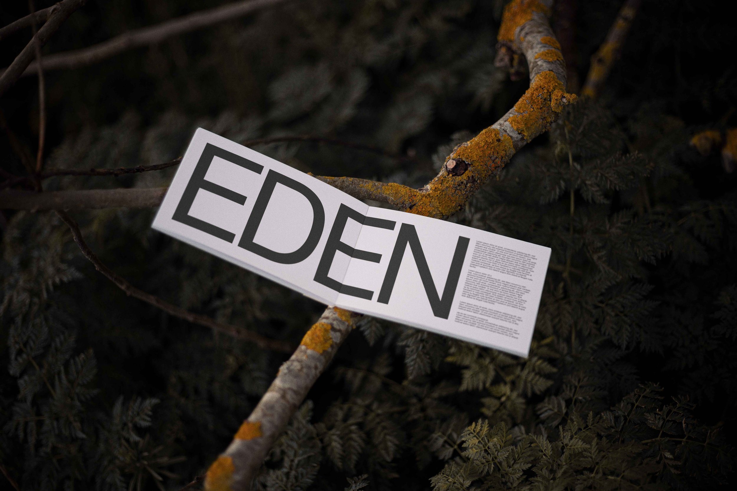 FORMAT_EDEN_BOOK_02.jpg