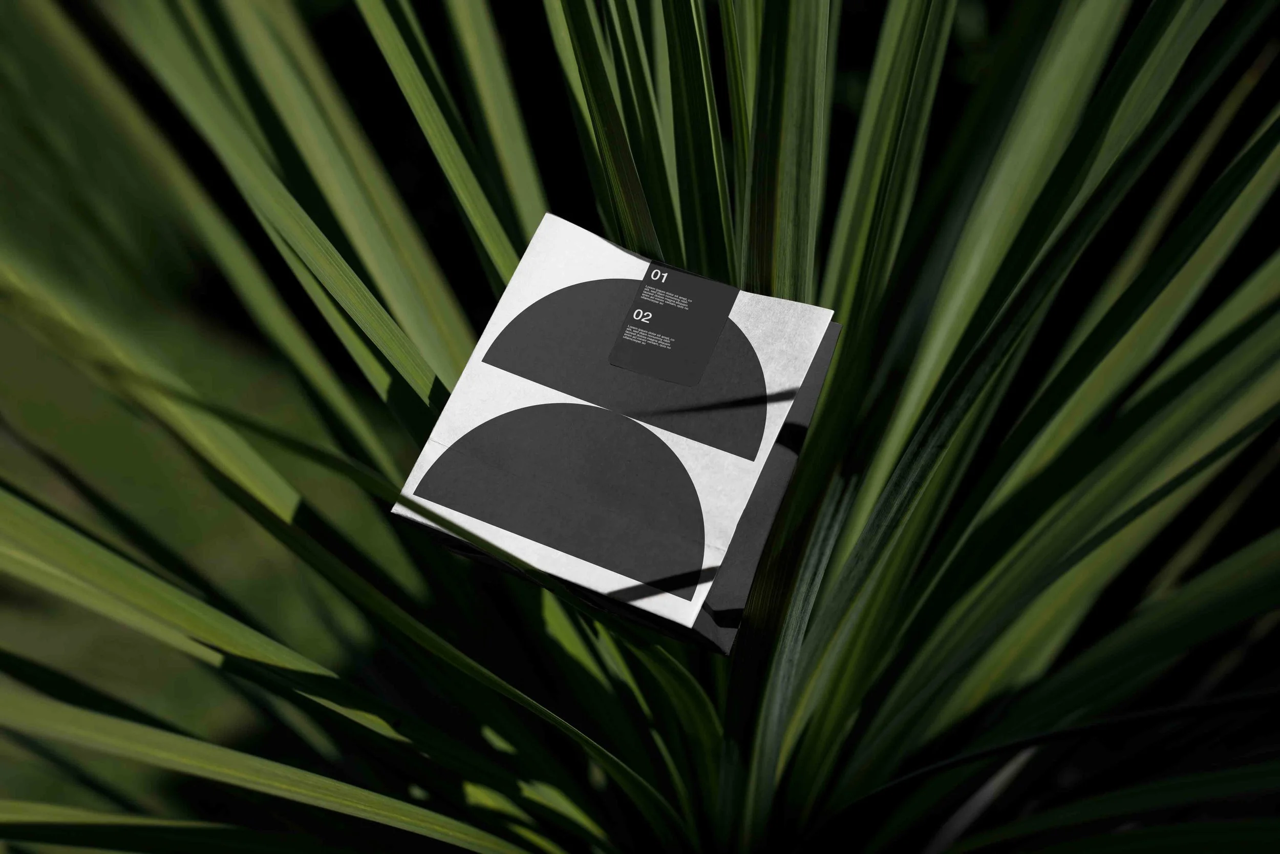 EDEN ECO POUCH 02