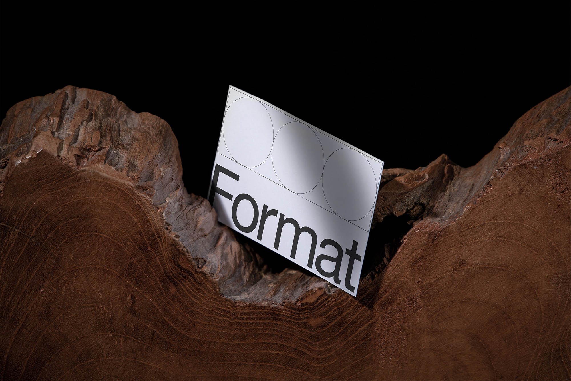 Artboard 1 copy 6.jpg