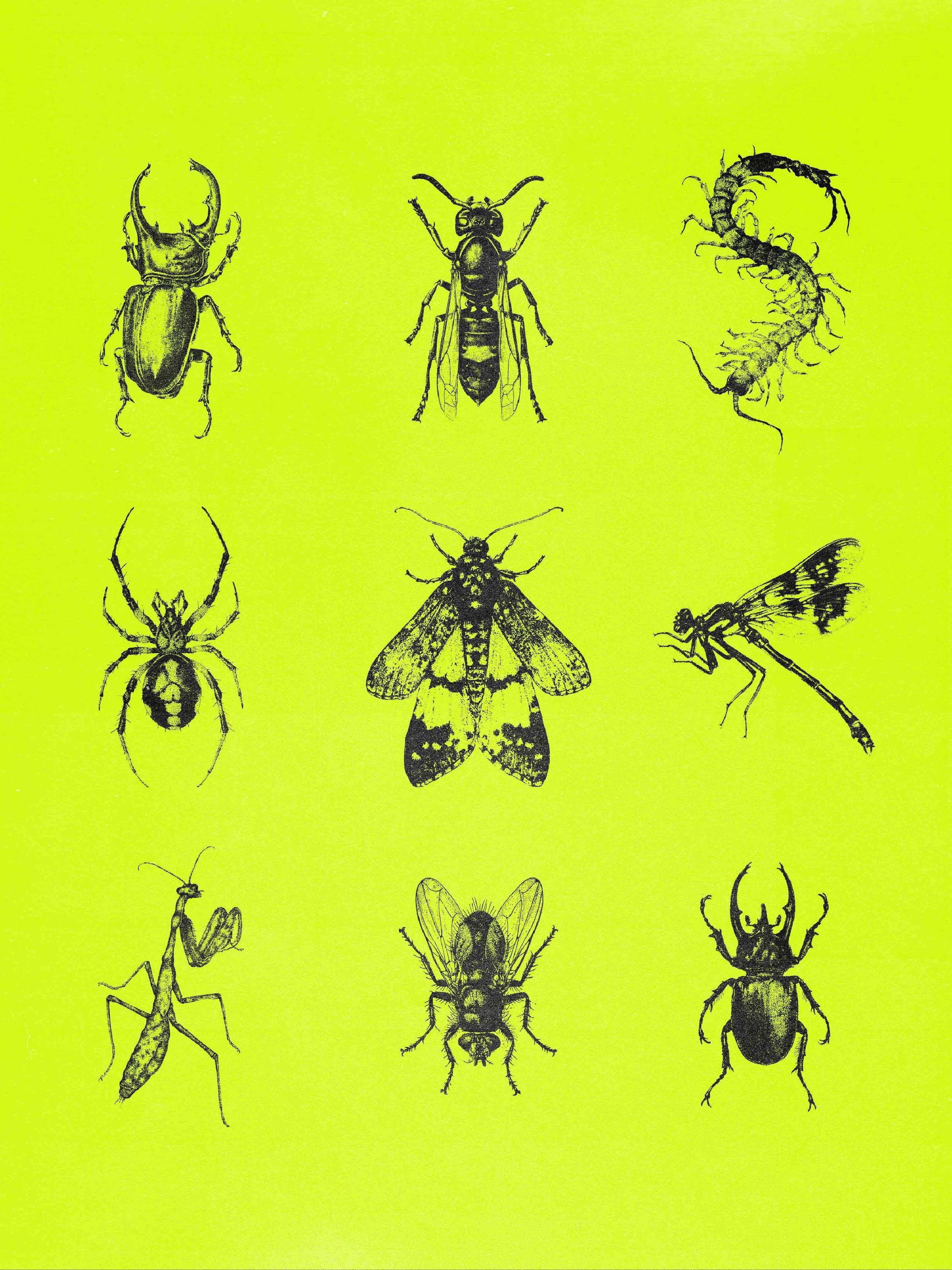 SPECIMENS 4.jpg