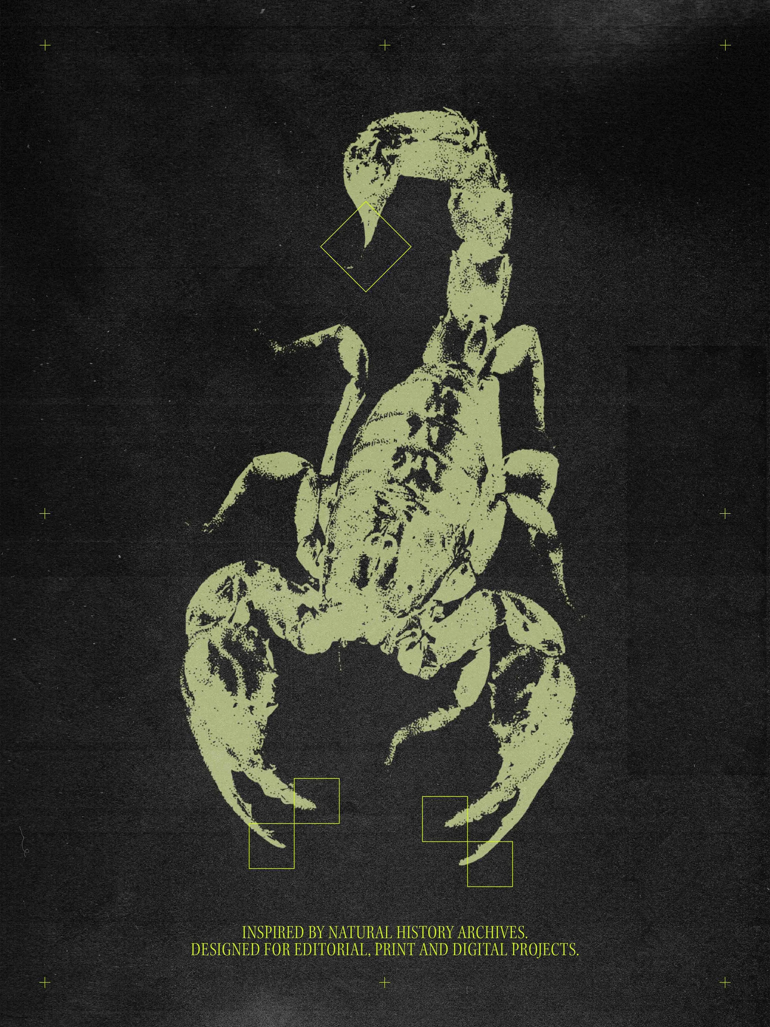 SPECIMENS 3.jpg