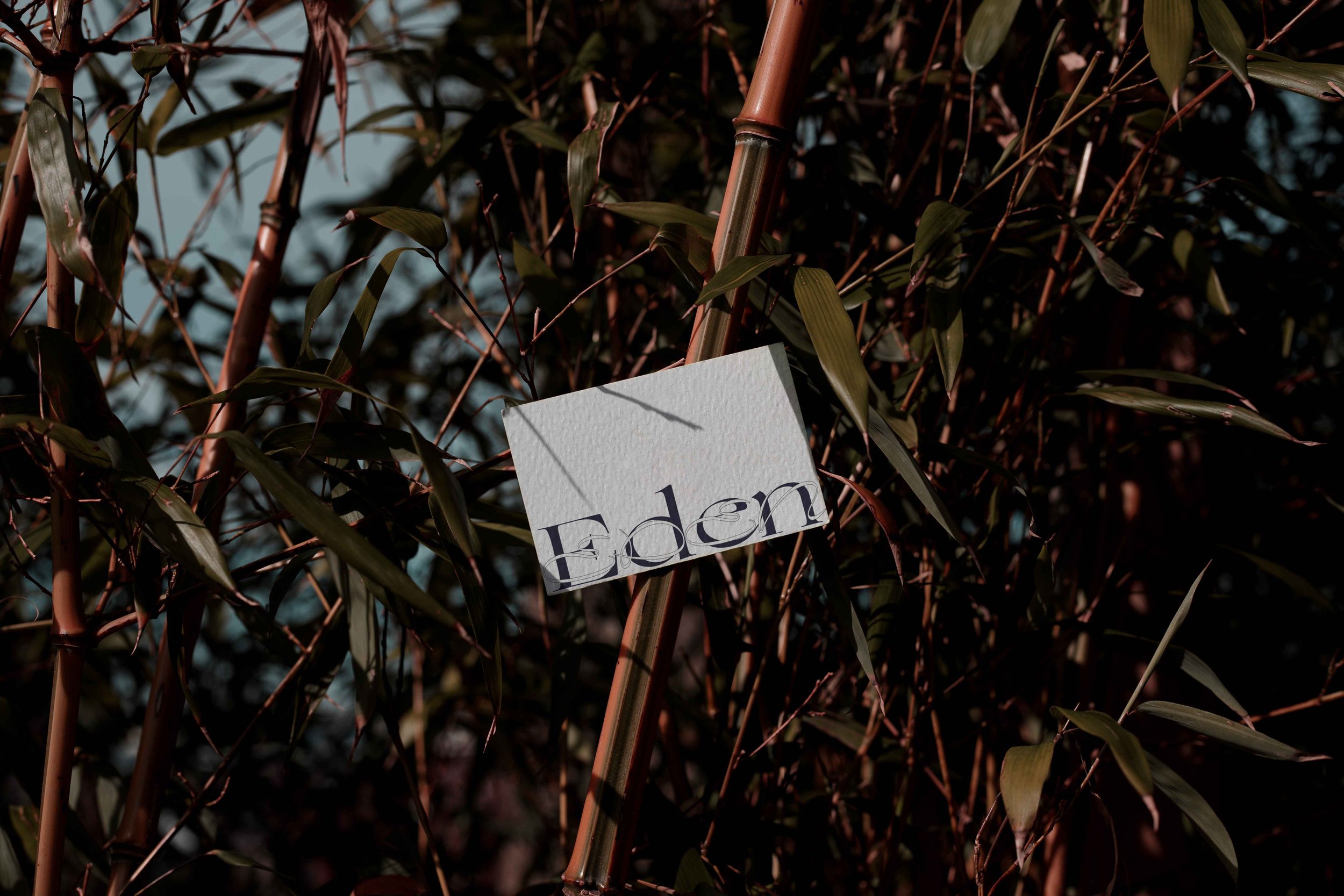 FORMAT_EDEN_02_BUSINESSCARD_14 V3.jpg