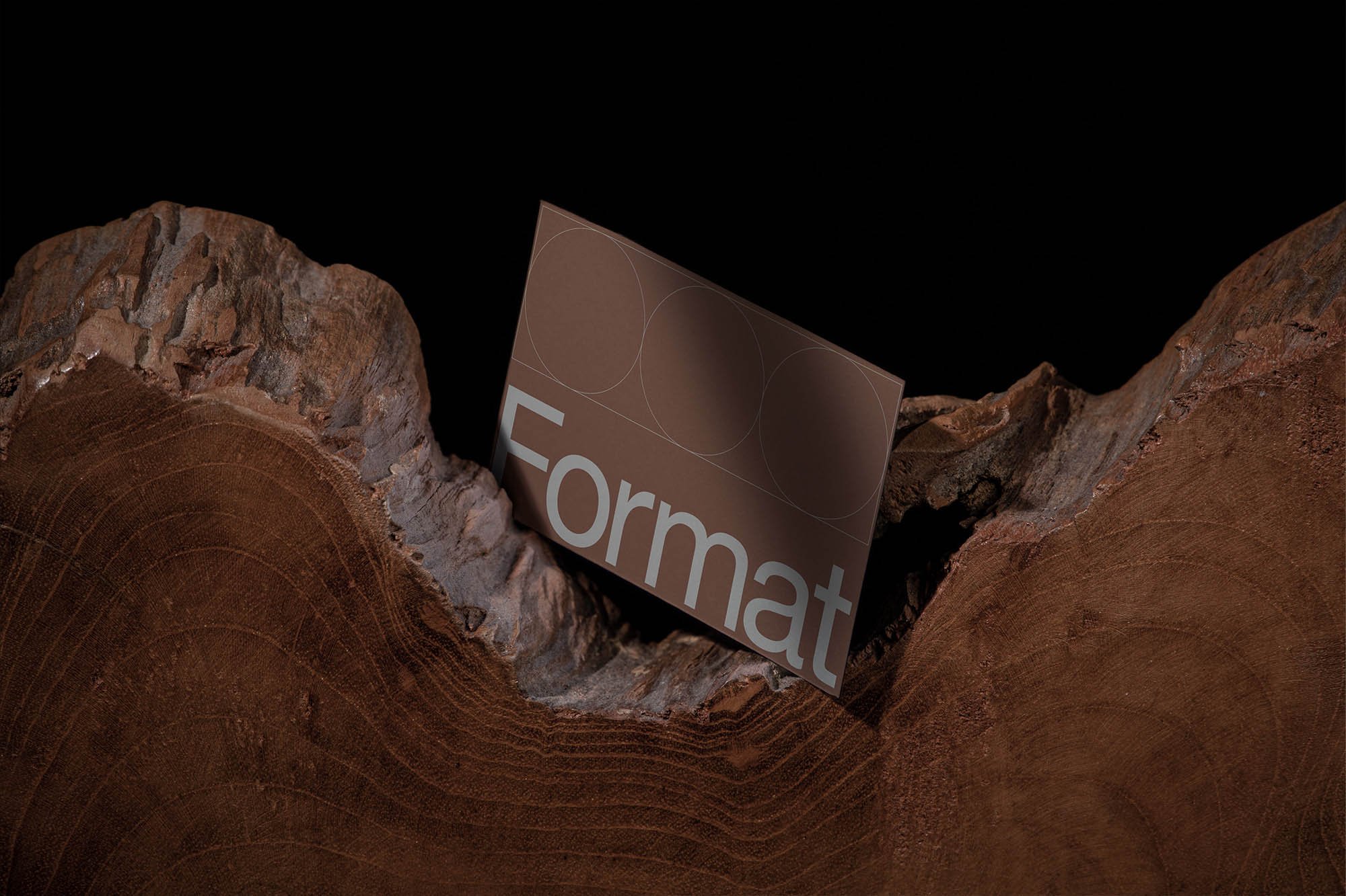 Artboard 1 copy 7.jpg