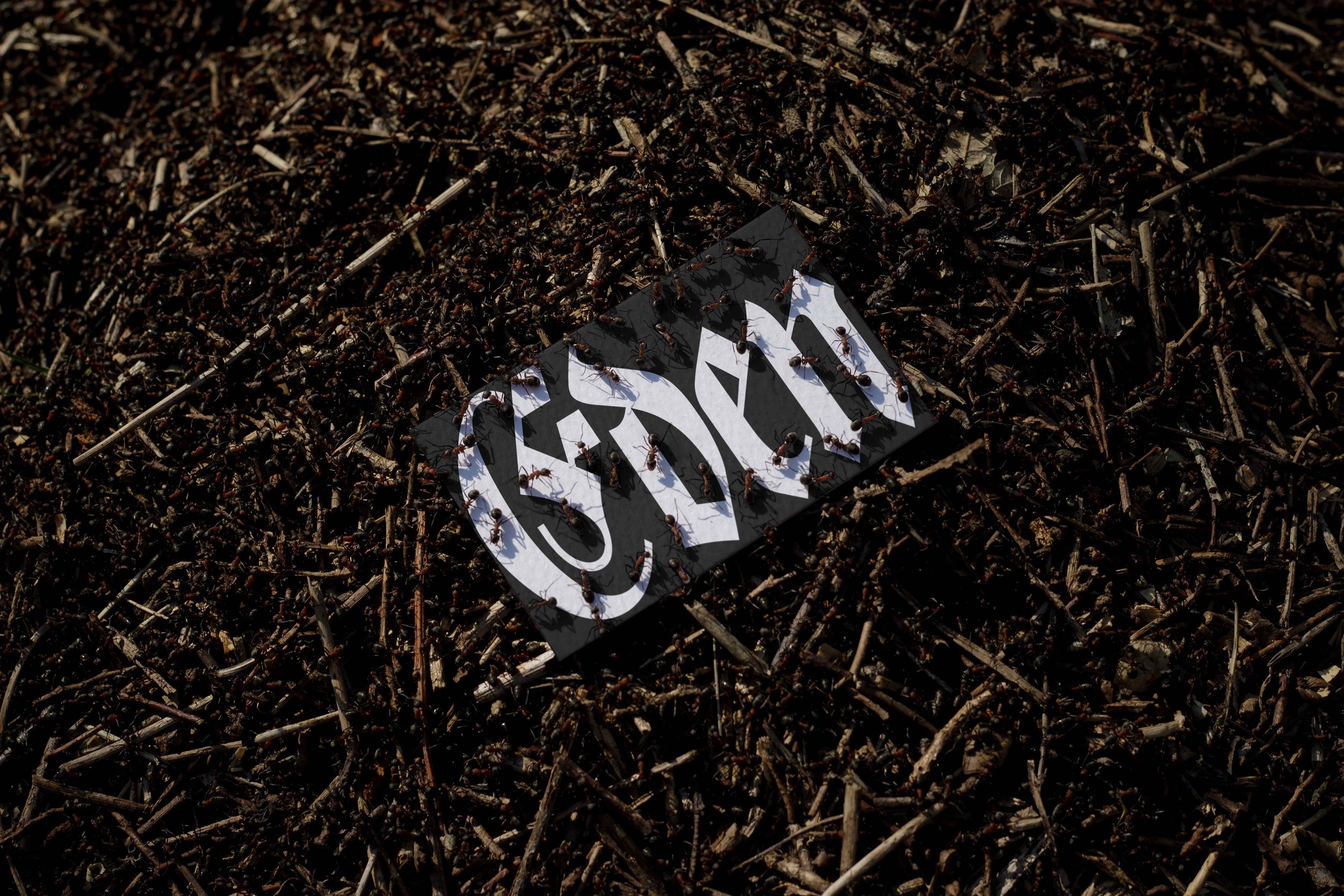 FORMAT_EDEN_02_BUSINESSCARD_18 V4.jpg