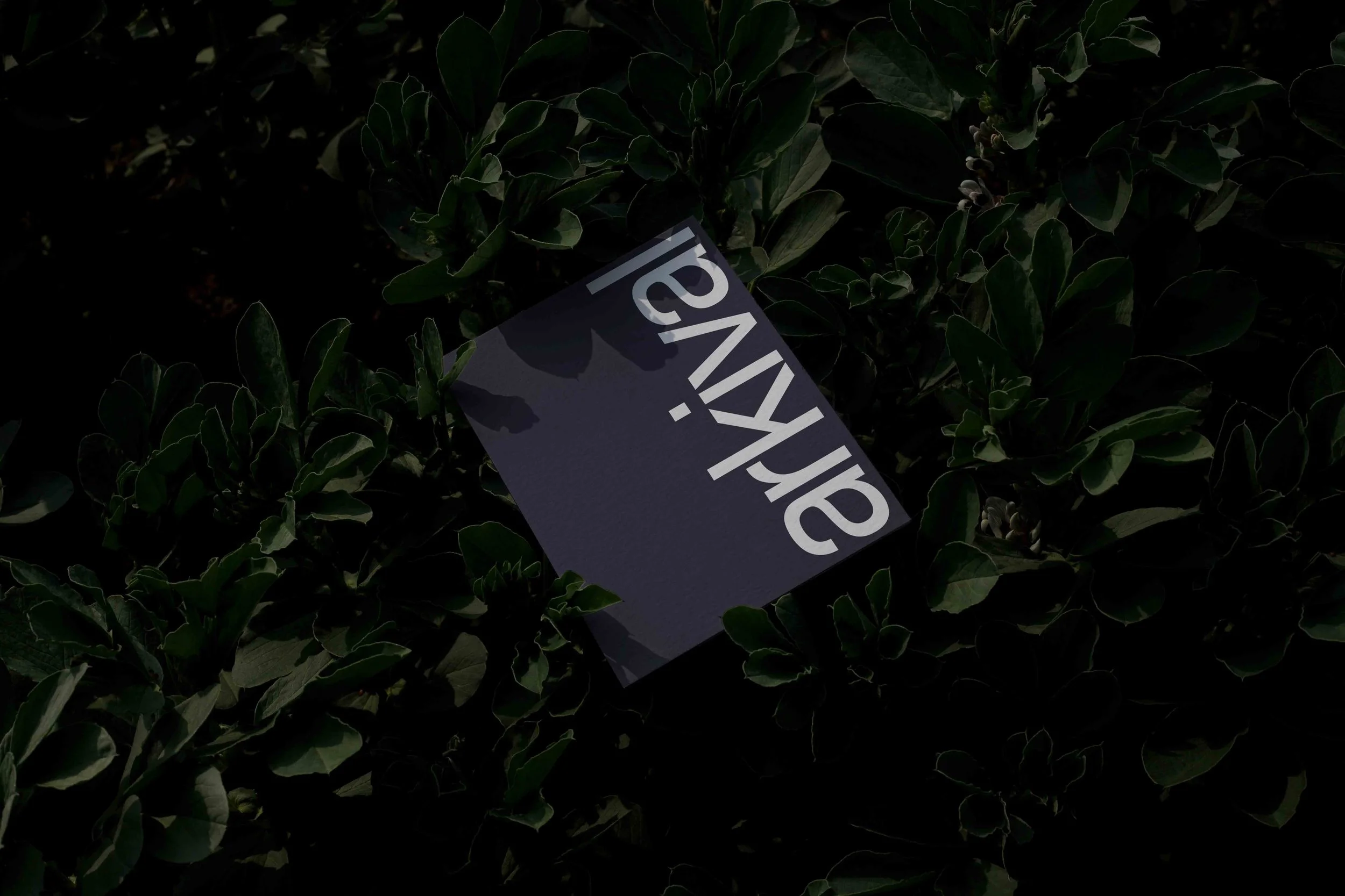 ARKIVAL_EDEN_POSTER_02.jpg