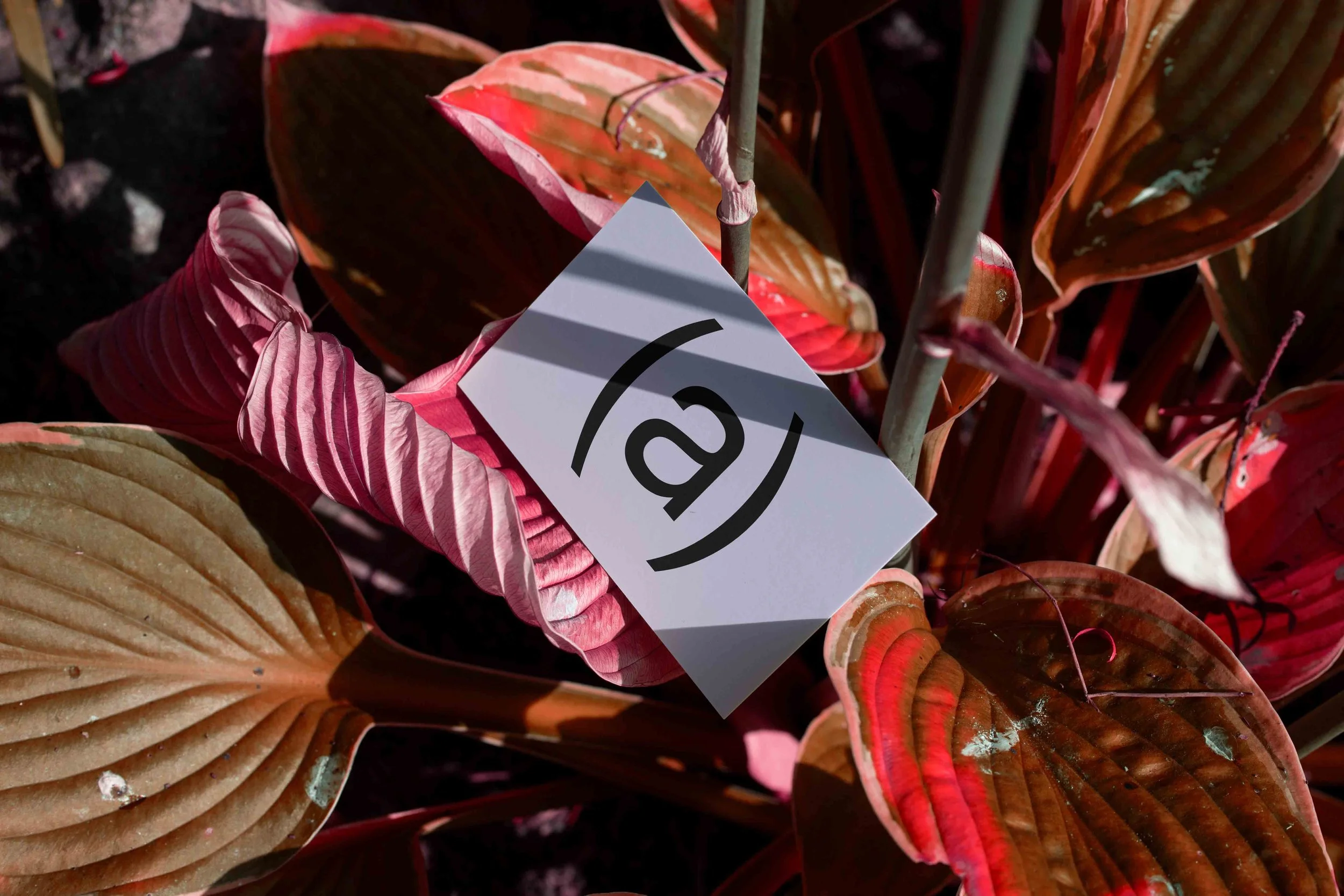 ARKIVAL_85x55_BUSINESSCARD_05.jpg