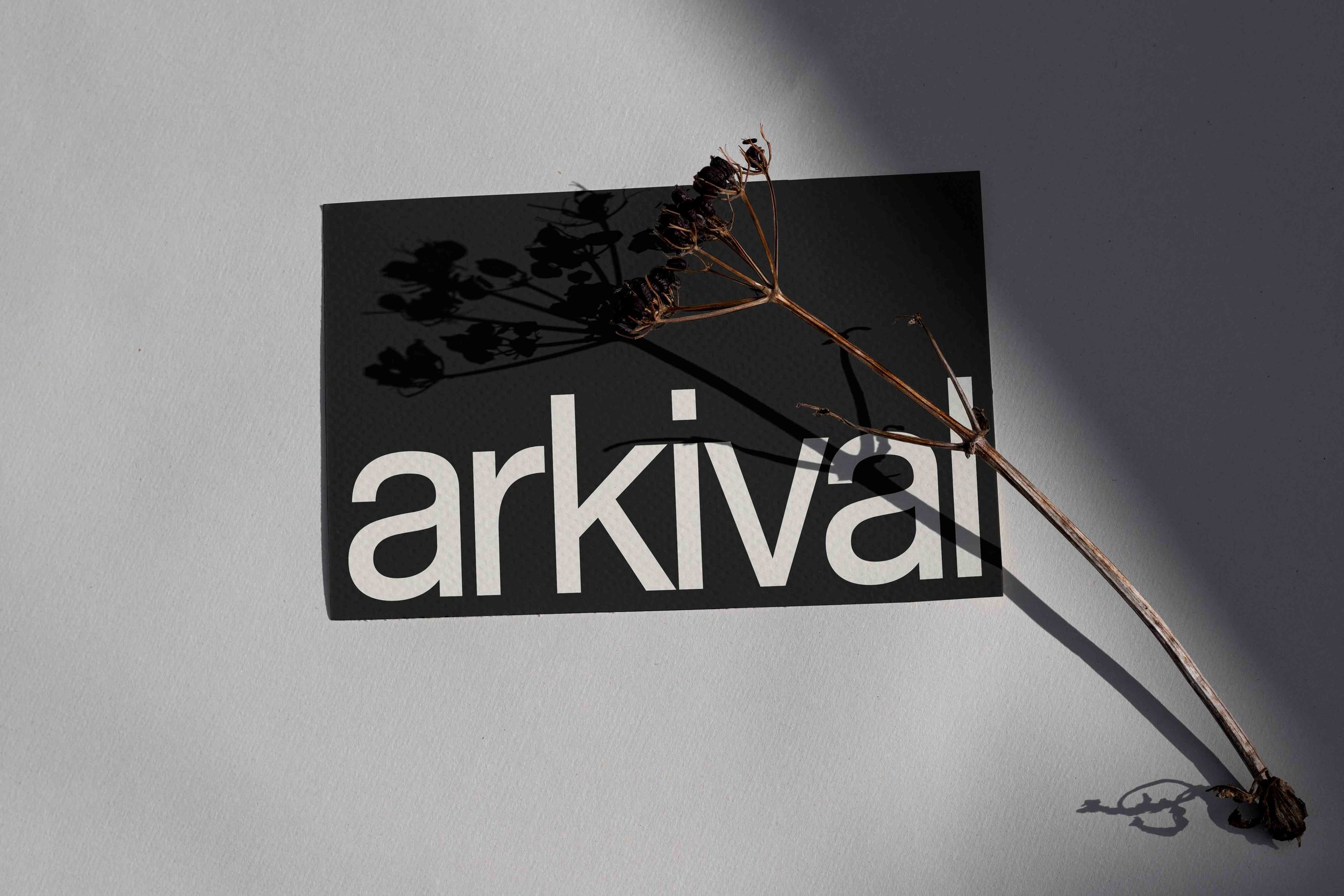 ARKIVAL_CARD_03.jpg