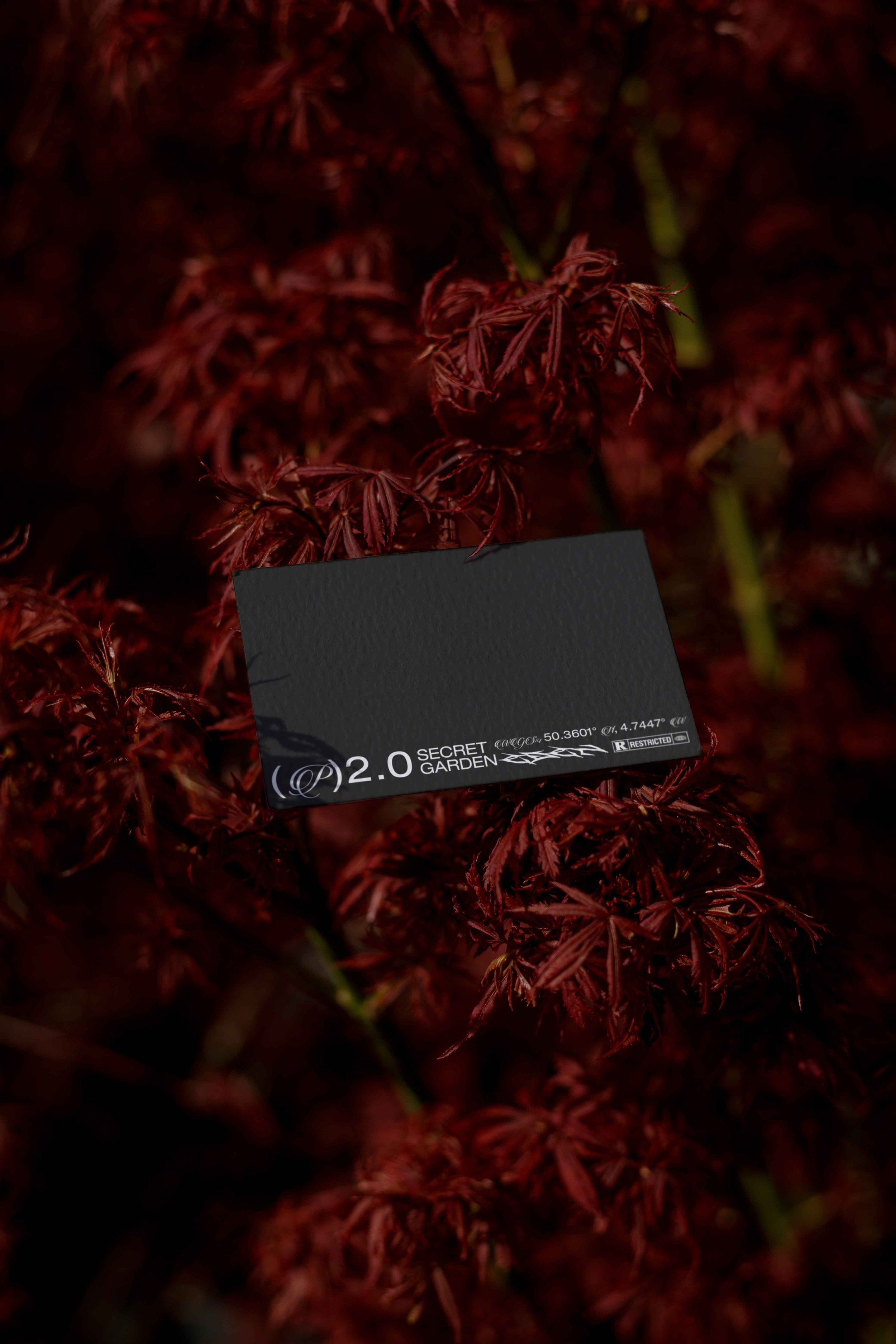 FORMAT_EDEN_02_BUSINESSCARD_15 V2.jpg
