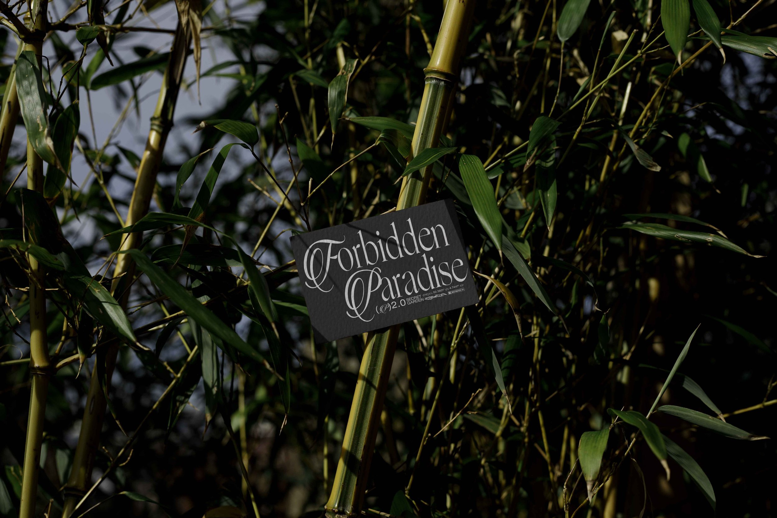 FORMAT_EDEN_02_BUSINESSCARD_14 V2.jpg