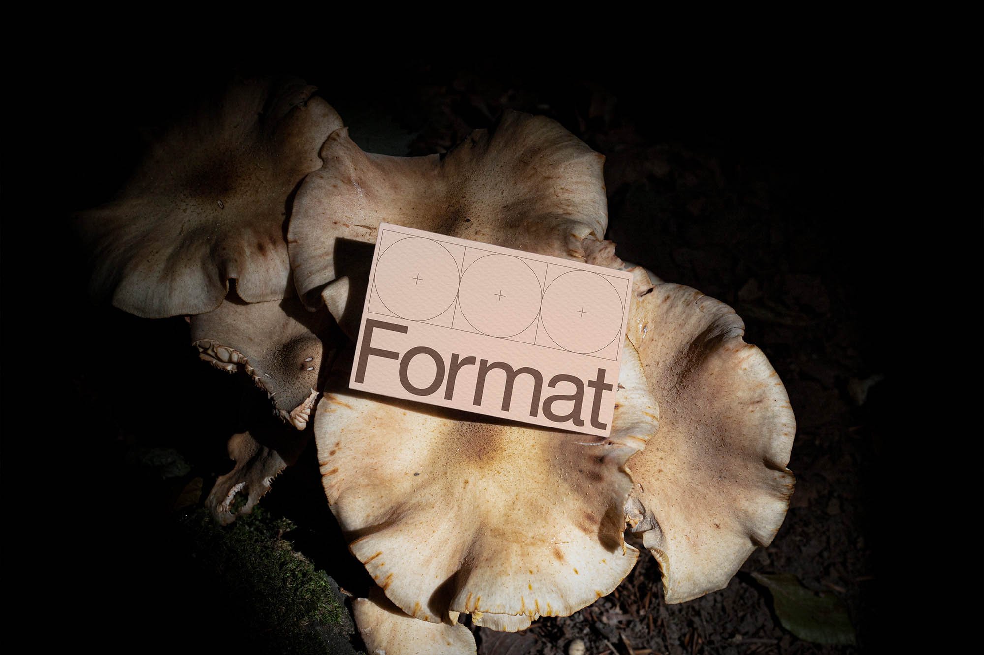 Artboard 1 copy 6.jpg