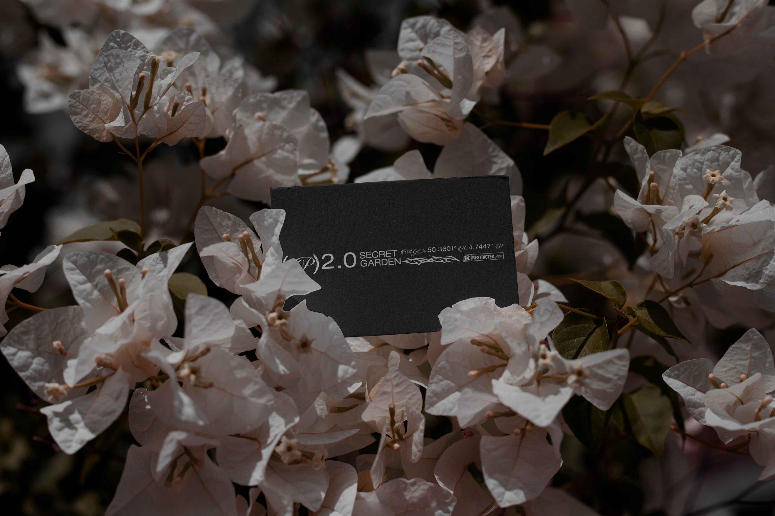 FORMAT_EDEN_02_BUSINESSCARD_11 V3.jpg