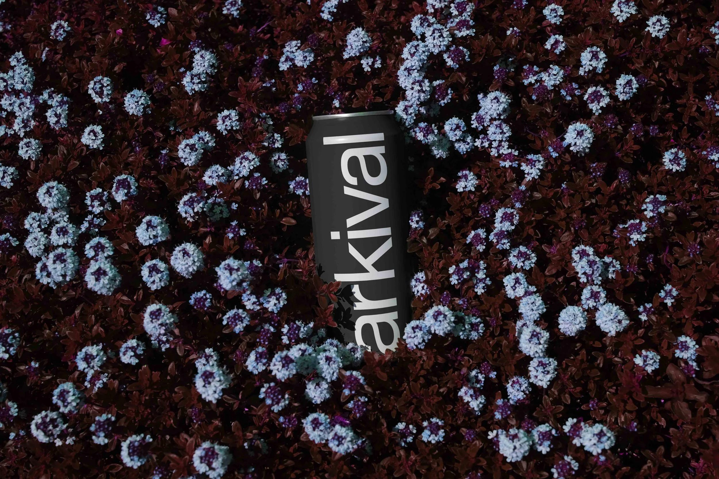 ARKIVAL_B2_CANS_01_1.jpg