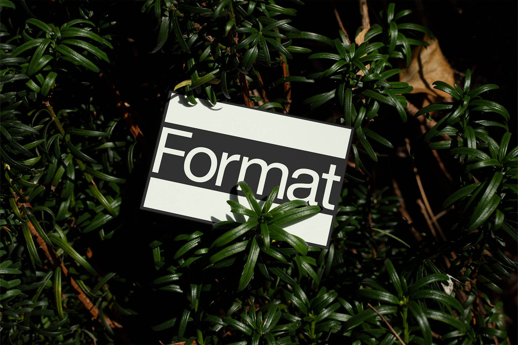 Artboard 1 copy 6.jpg
