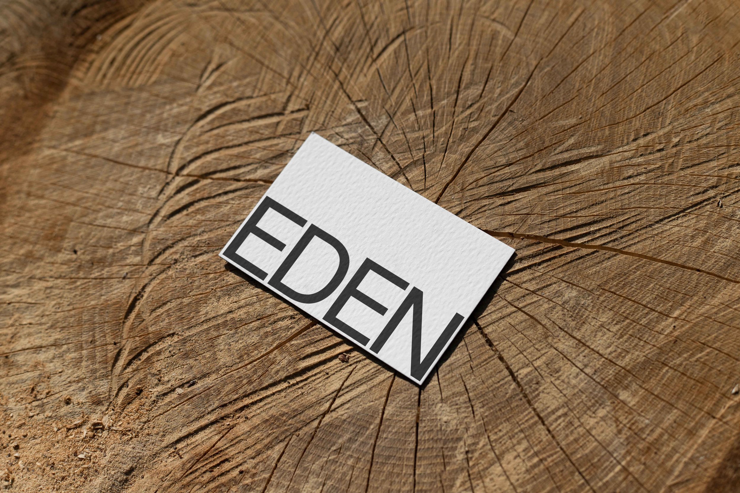 FORMAT_EDEN_BUSINESSCARD_12.jpg
