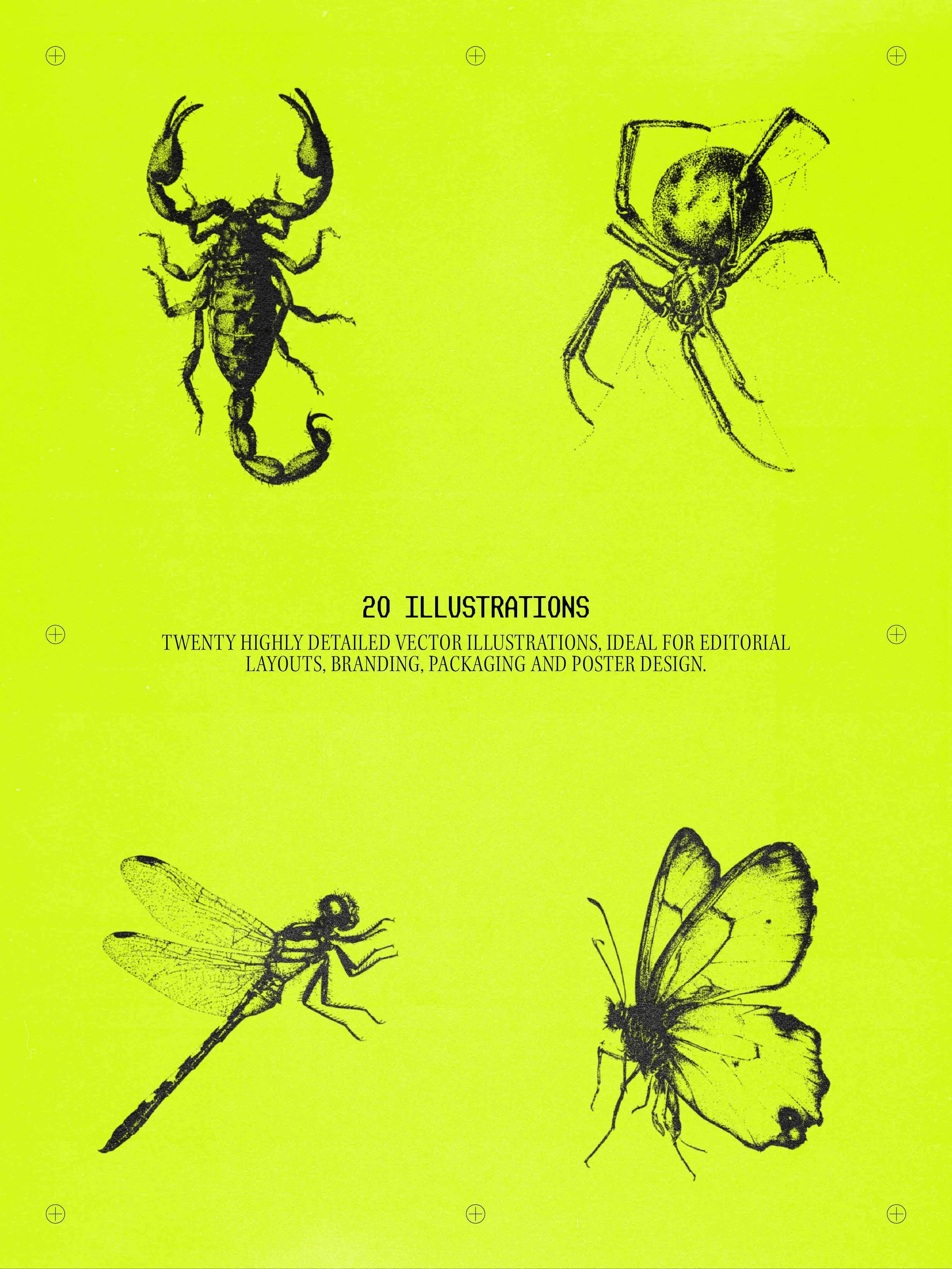 SPECIMENS 2_1.jpg
