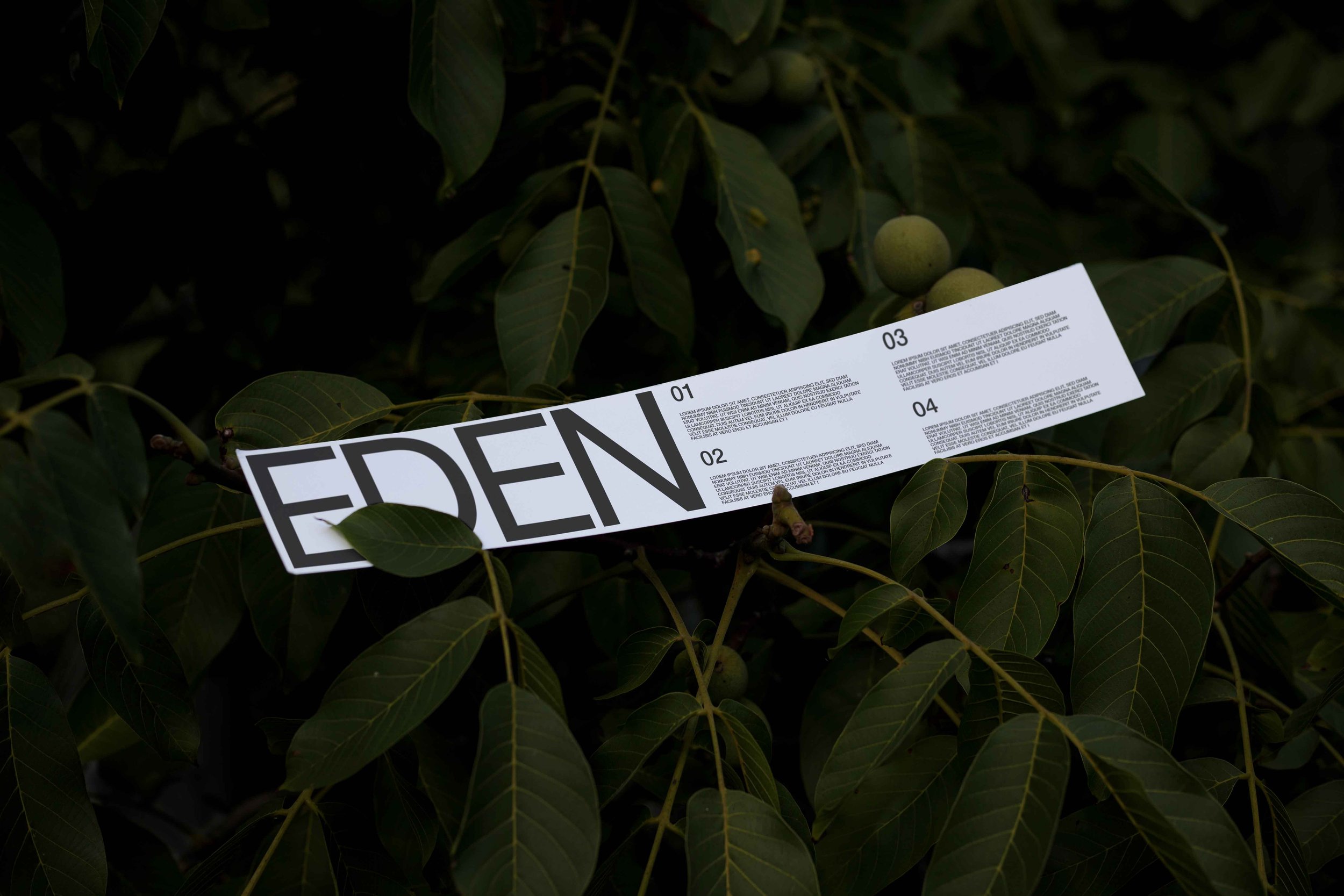 FORMAT_EDEN_PAPERSTRIP_01.jpg