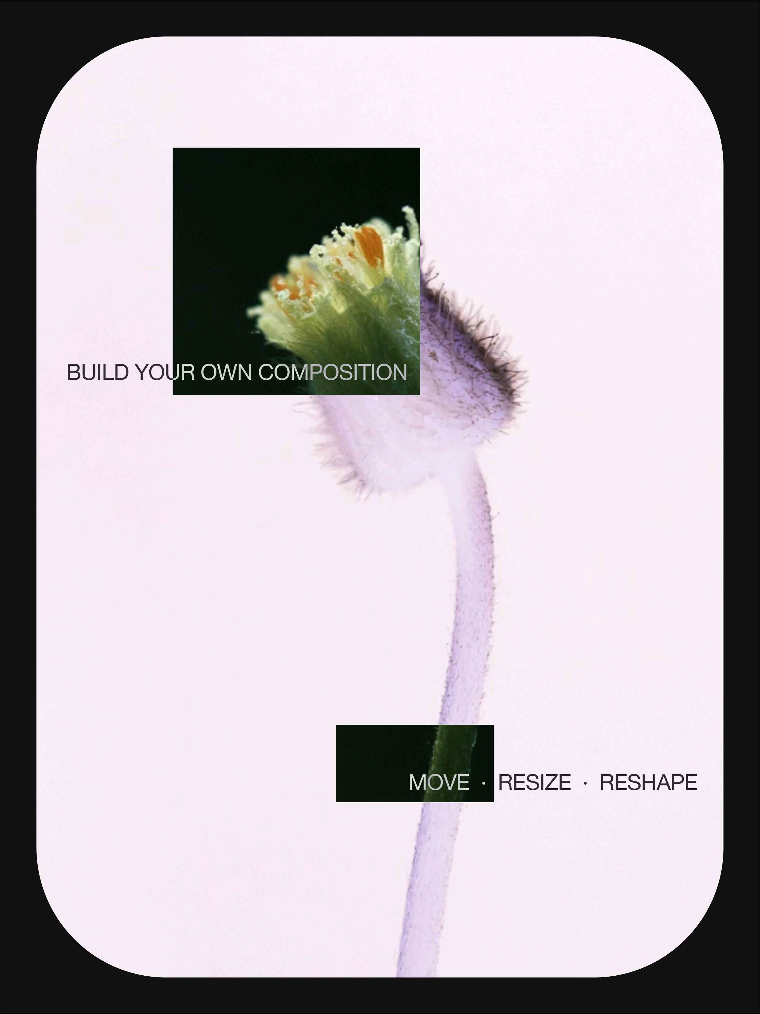 XRAY 2@200x.jpg