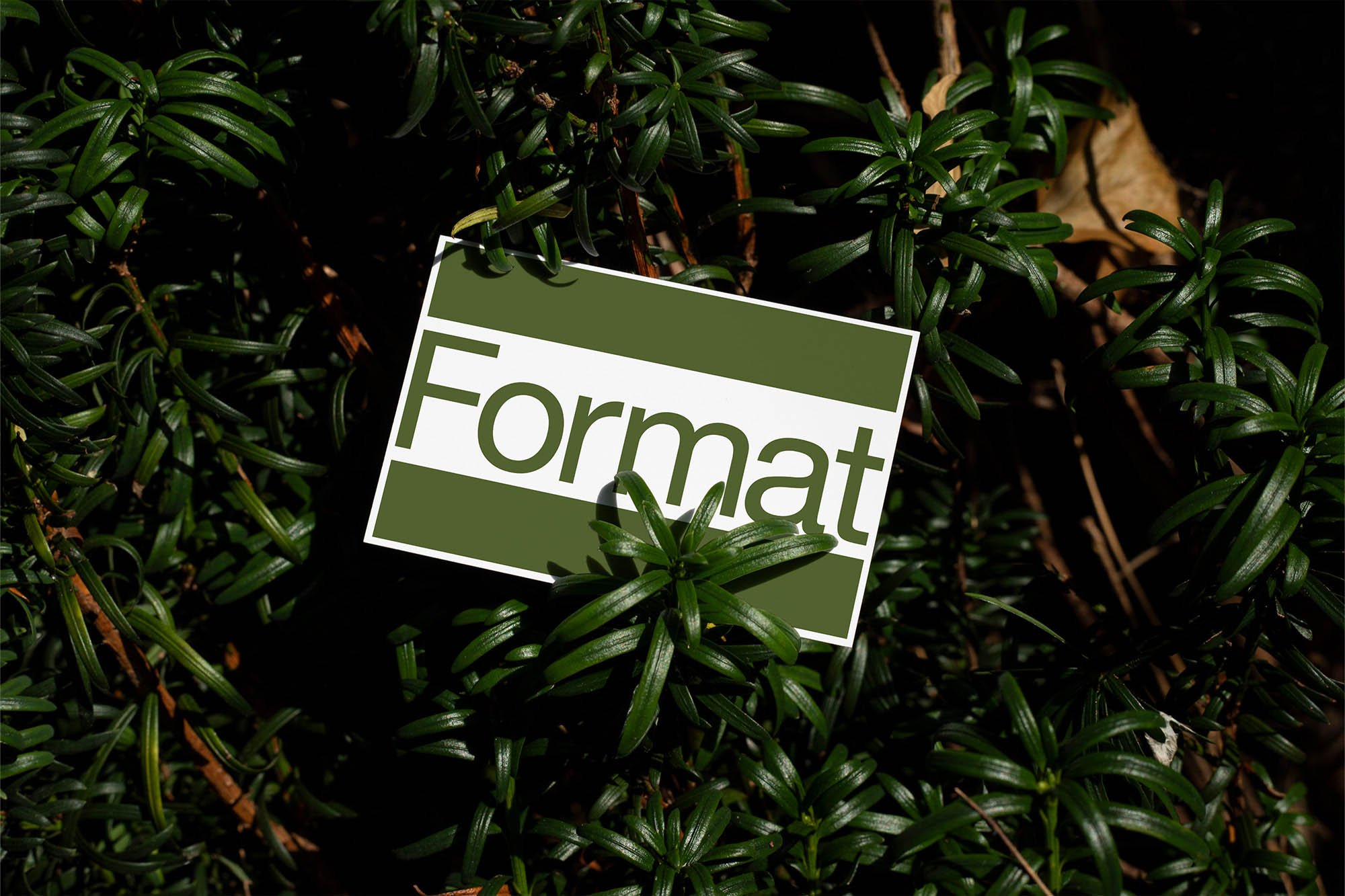 Artboard 1 copy 5.jpg