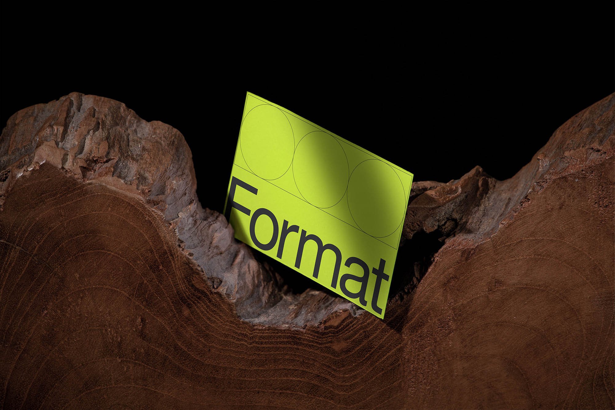 Artboard 1 copy 5.jpg