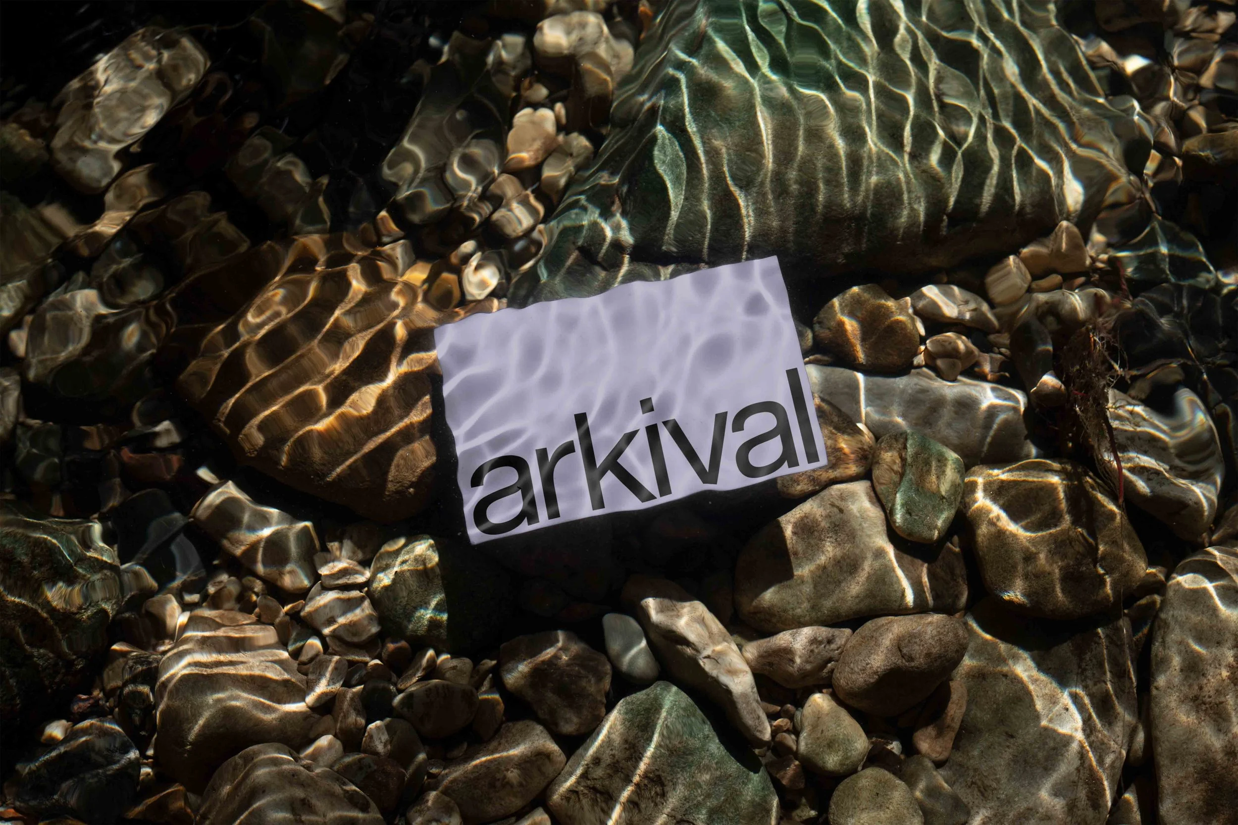 ARKIVAL_85x55_BUSINESSCARD_07.jpg