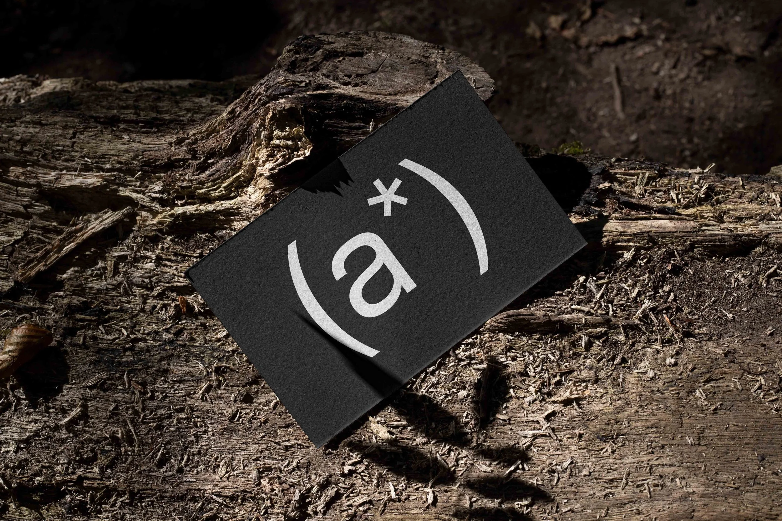ARKIVAL_CARD_07_1.jpg