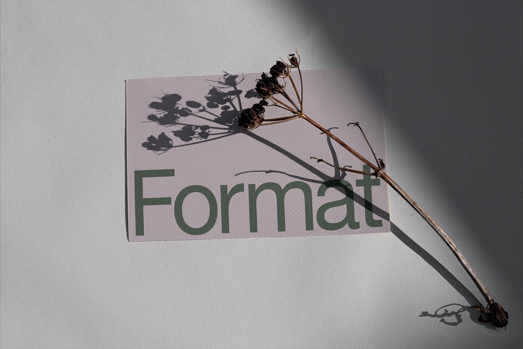 Artboard 1 copy 6.jpg