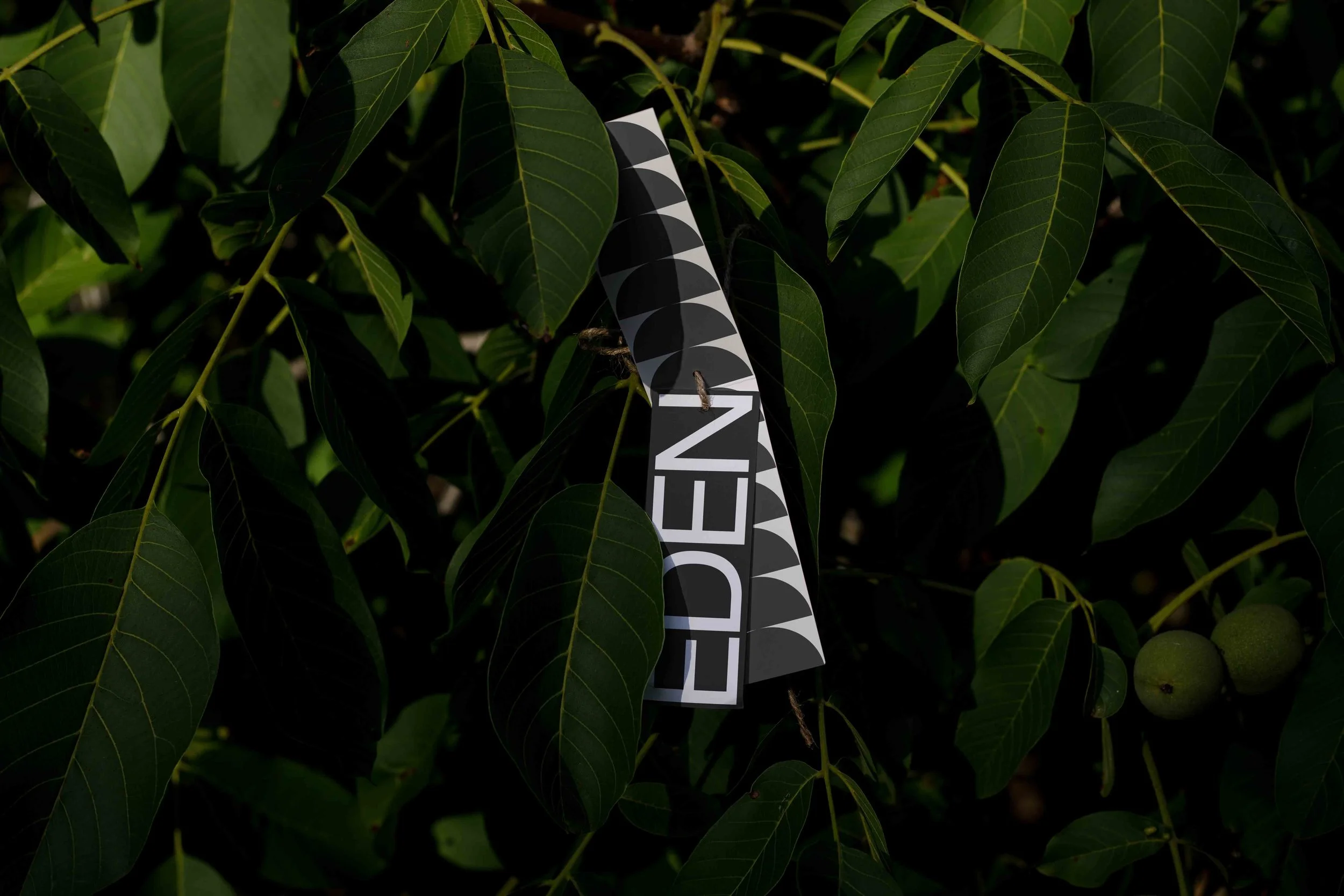 ARKIVAL_EDEN_TAG_01.jpg