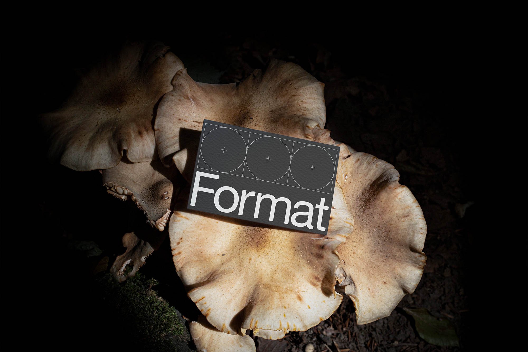 Artboard 1 copy 8.jpg