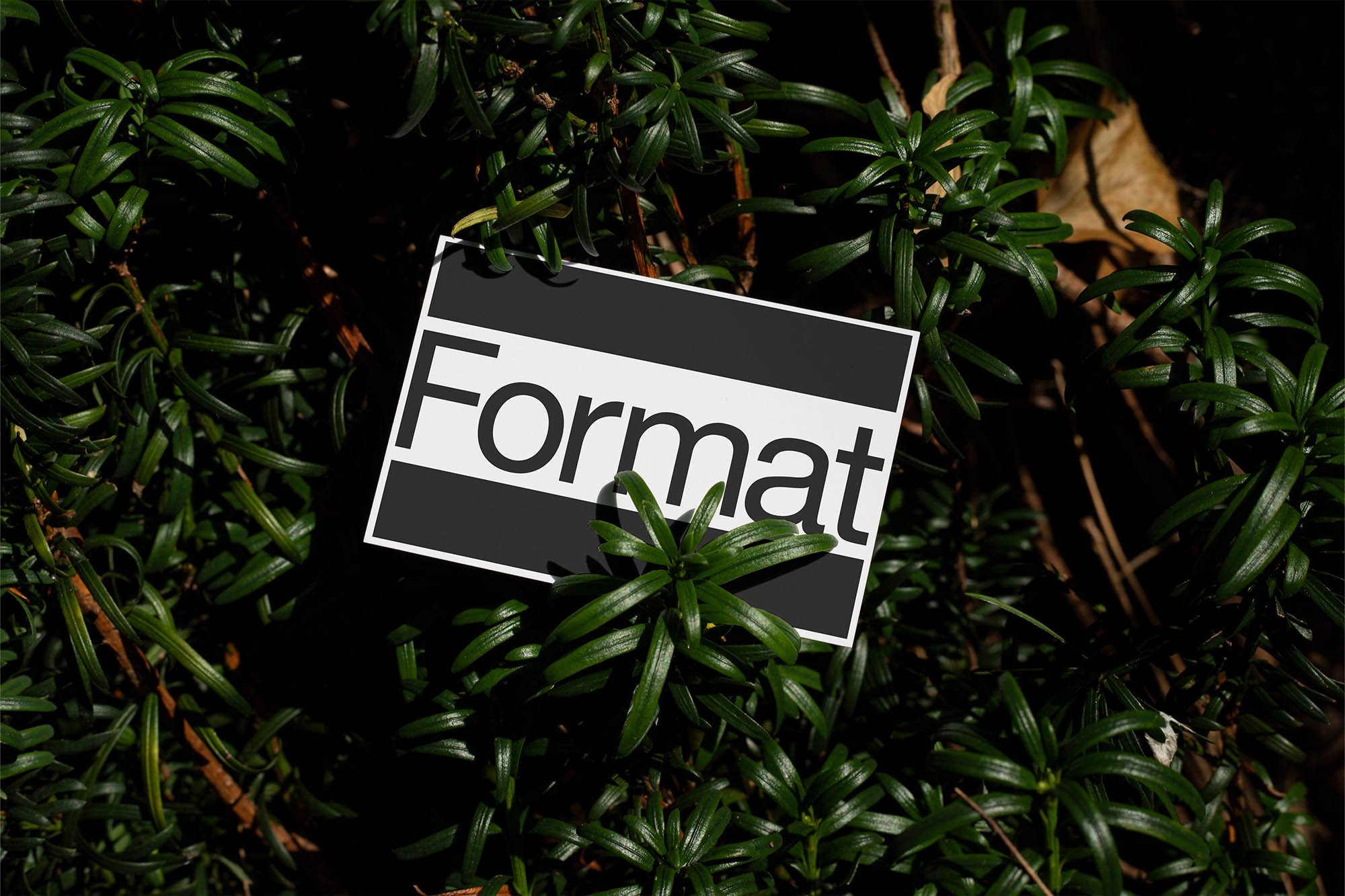 Artboard 1 copy 7.jpg