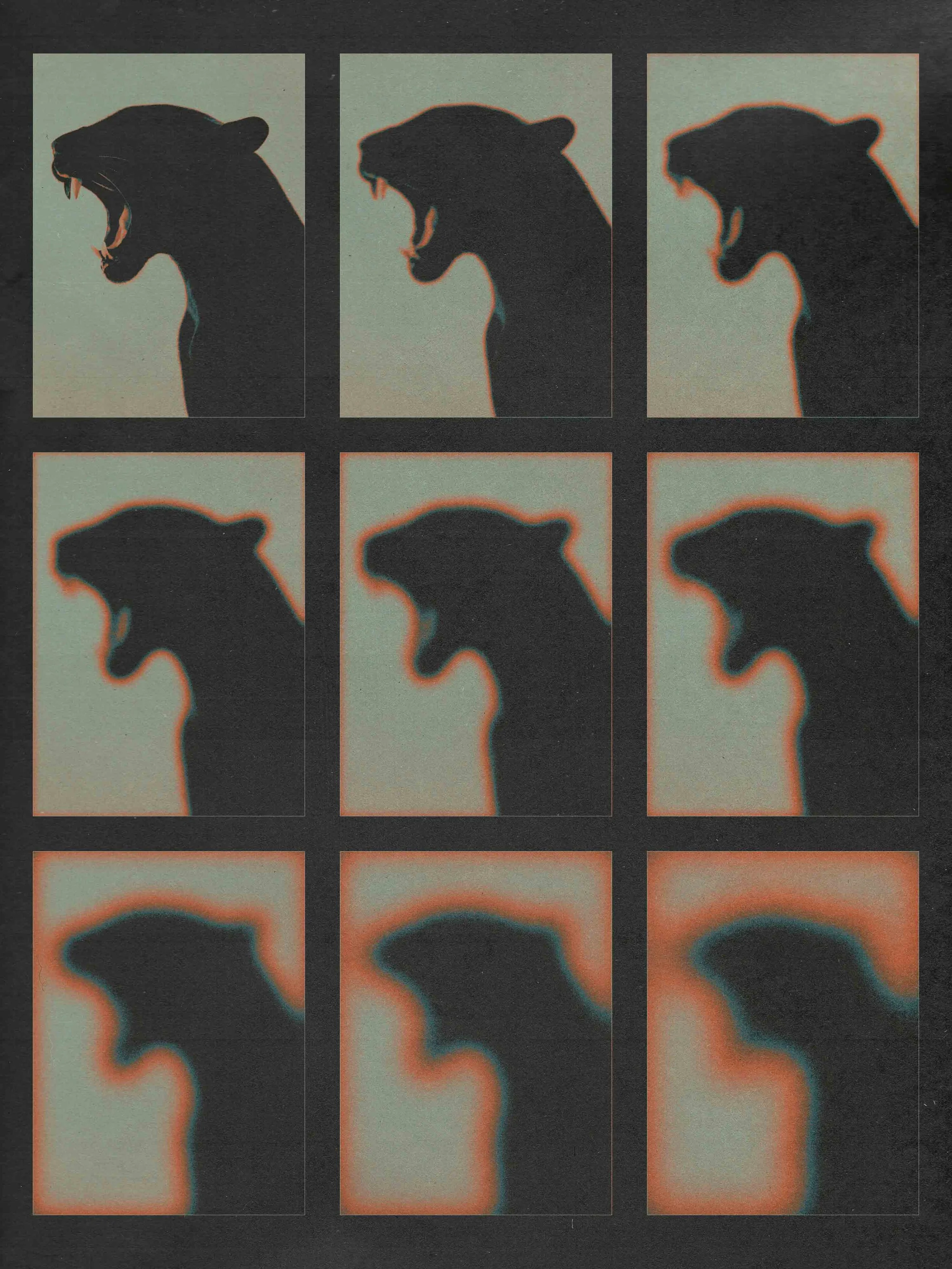 ECHO_GRID_VOL_013.jpg