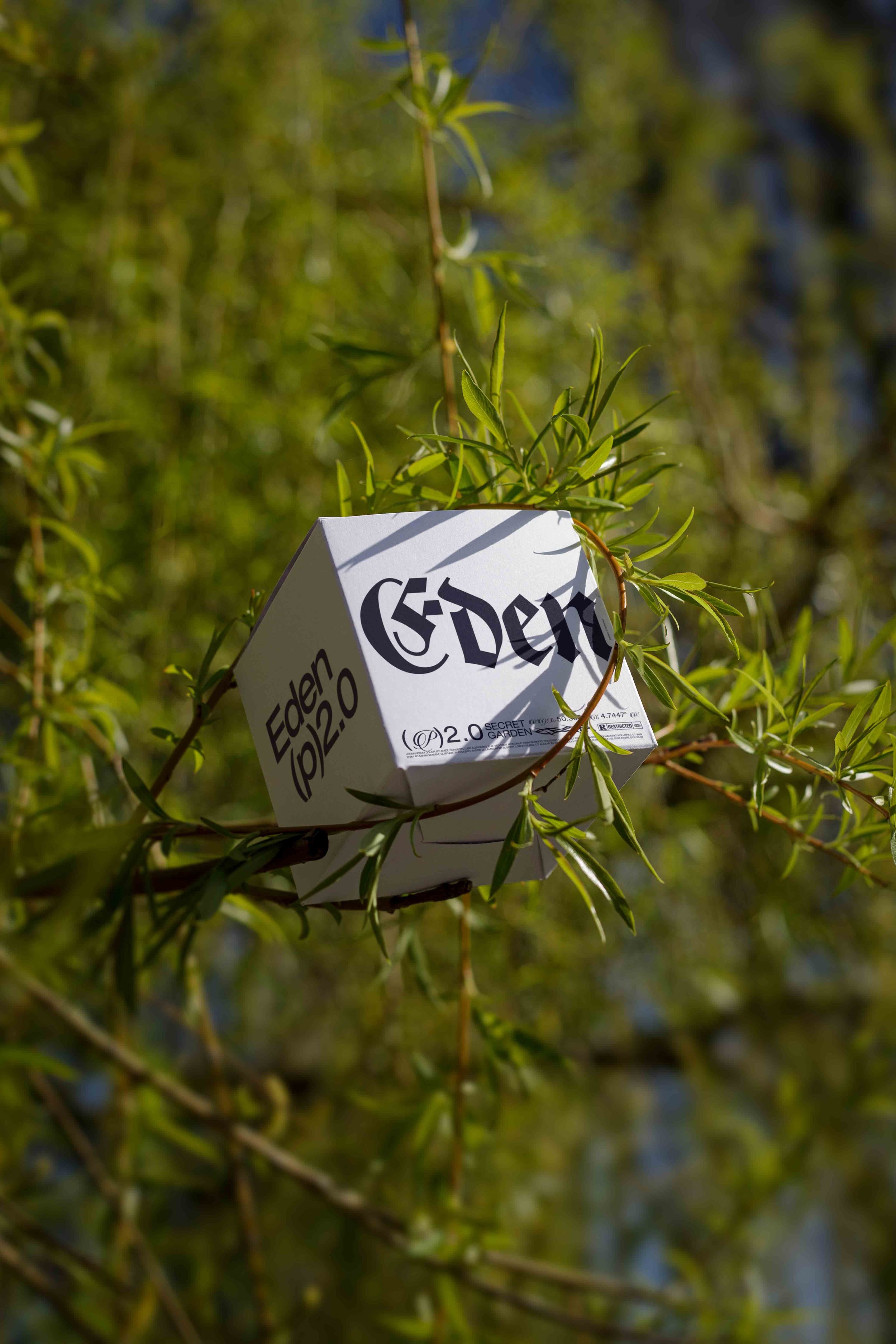ARKIVAL_EDEN_02_BOX_02.jpg