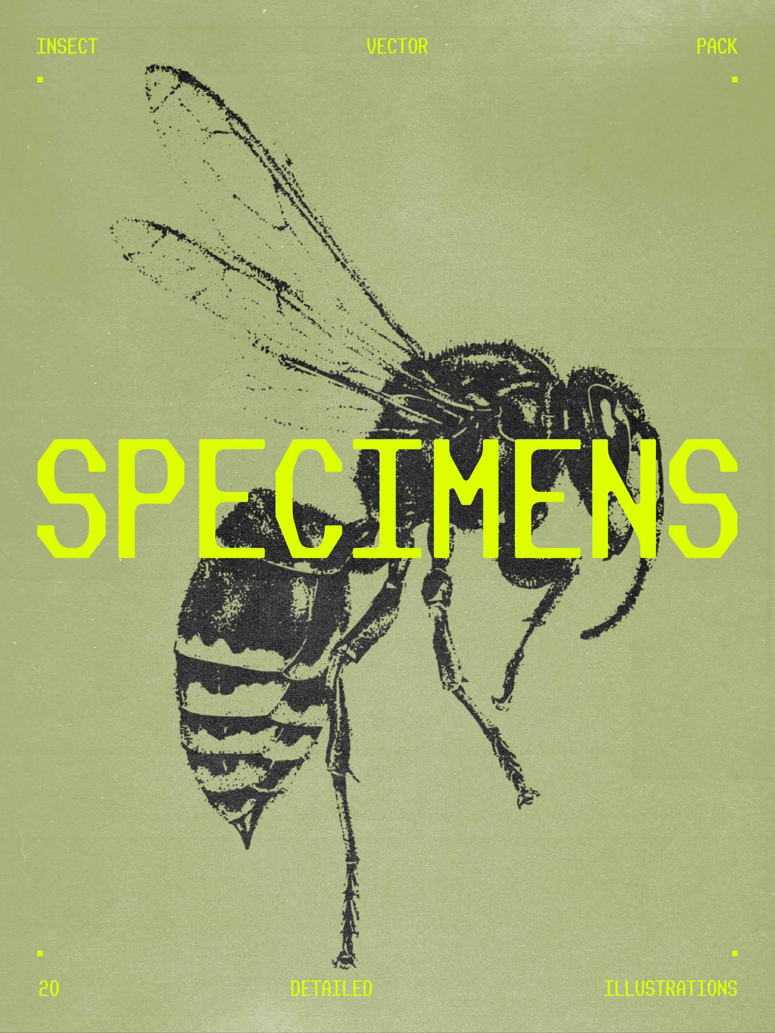 SPECIMENS - INSECT VECTOR PACK VOL 1