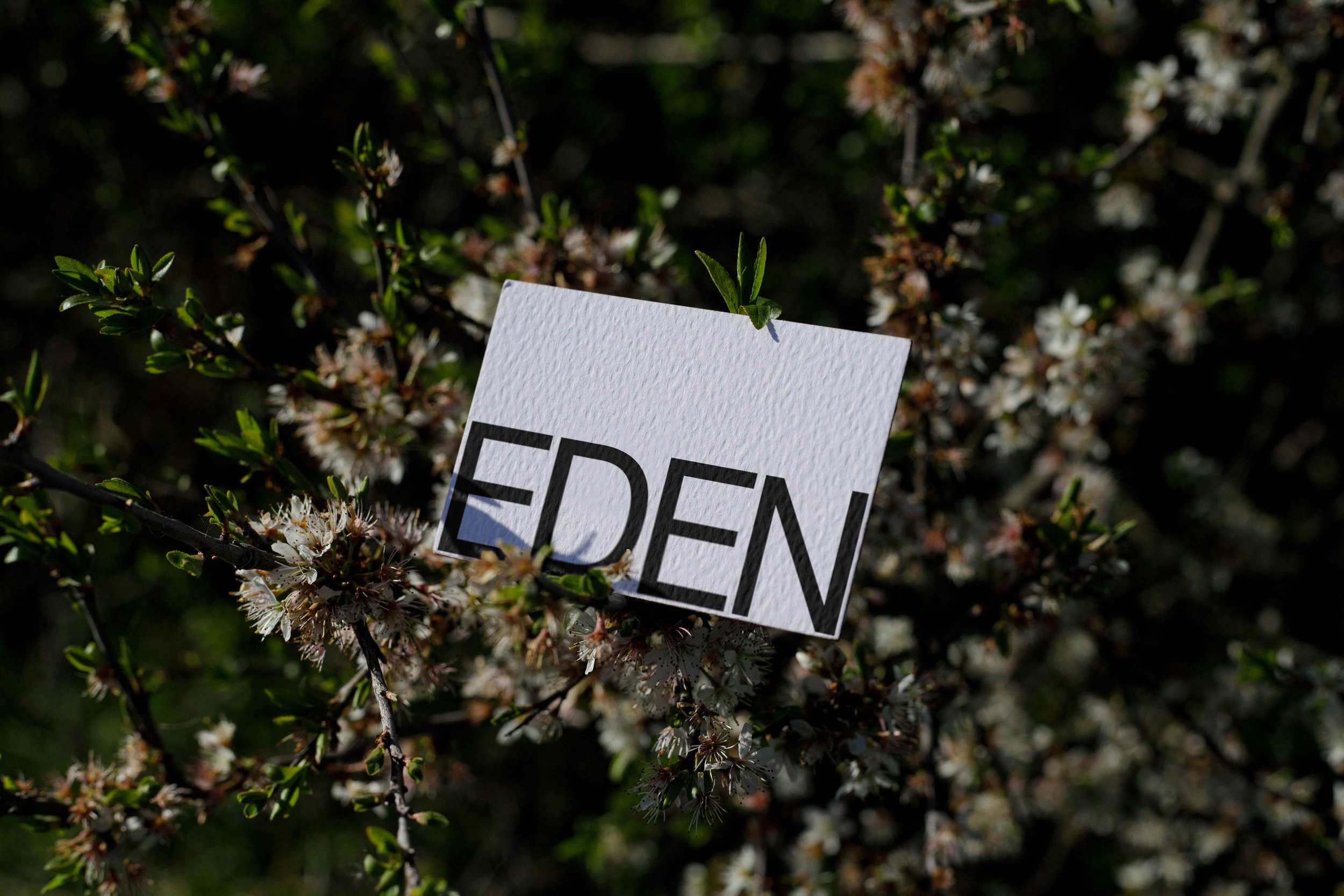FORMAT_EDEN_BUSINESSCARD_03.jpg
