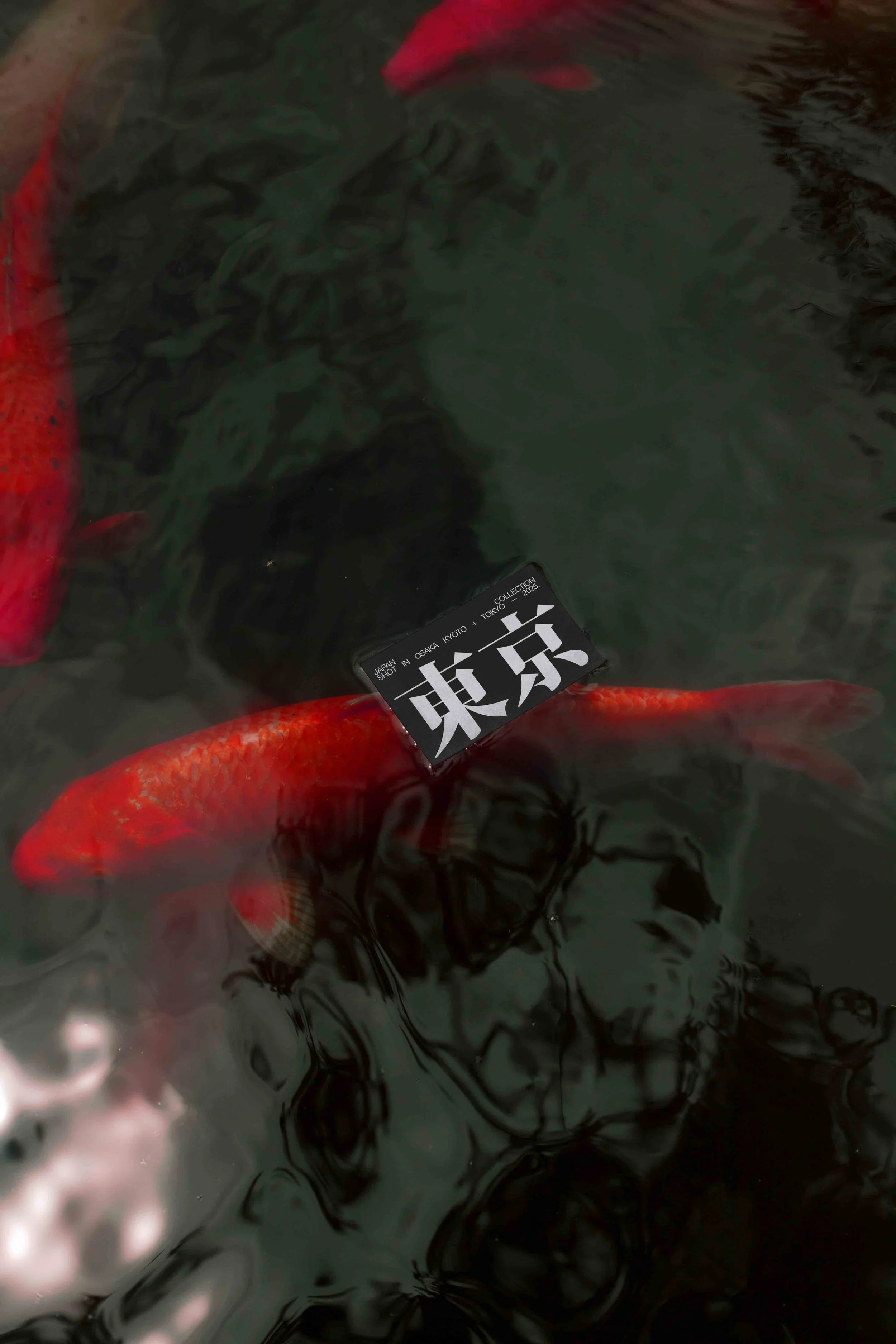 ARKIVAL_JAPAN_BUSINESSCARD_01_1.jpg