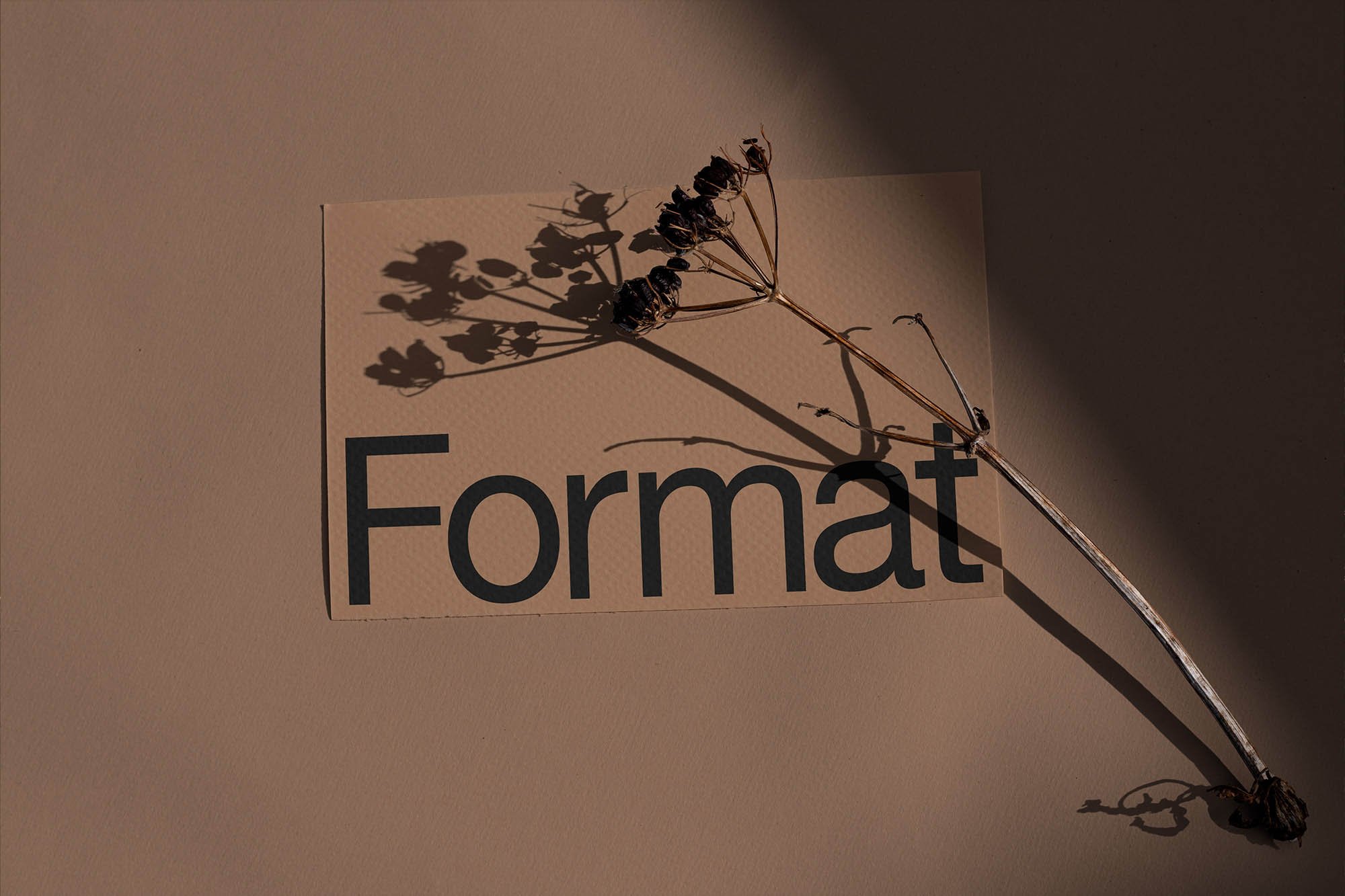 Artboard 1 copy 5.jpg