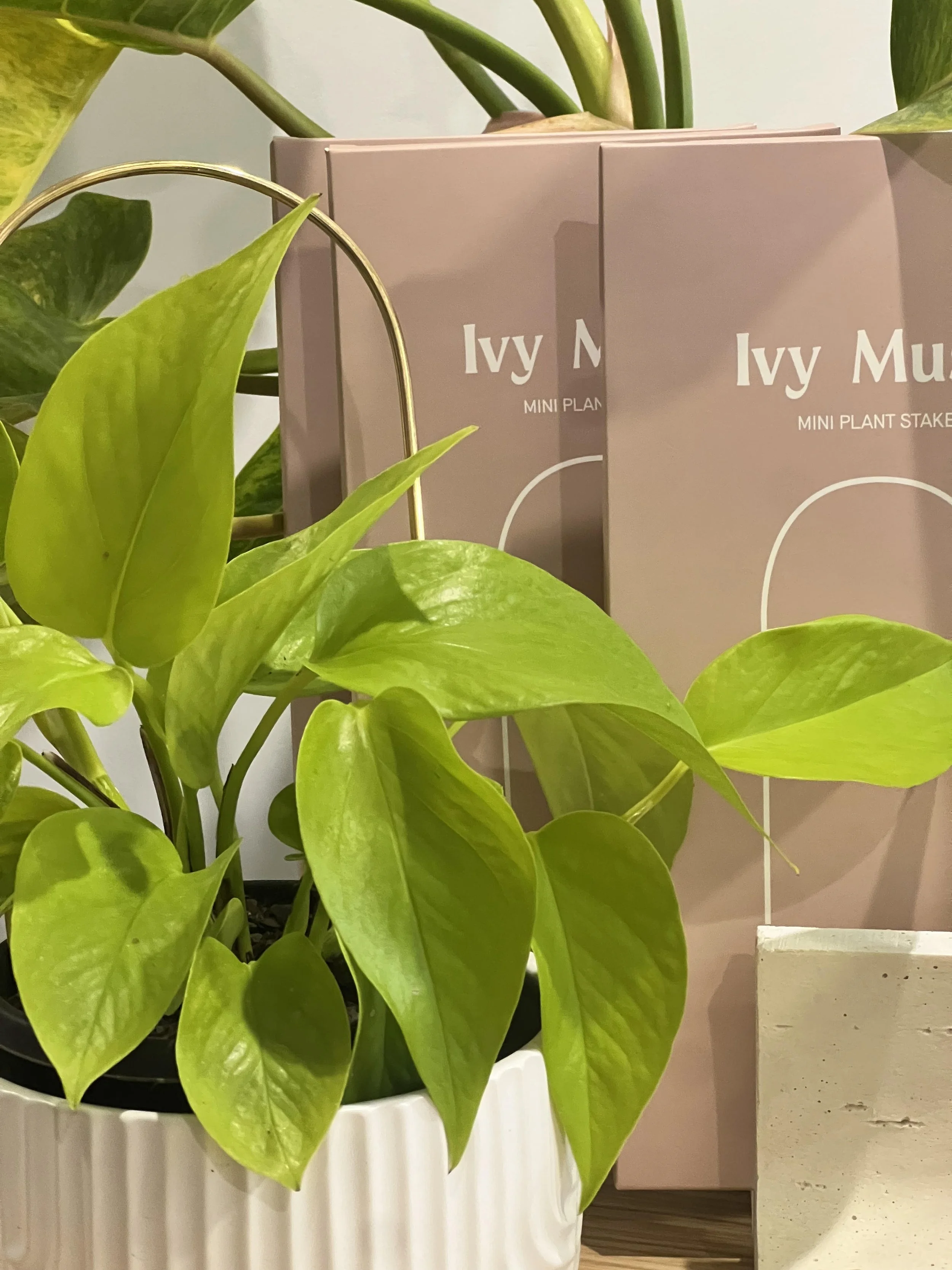 Ivy Muse -Mini Plant Stake - Brass.jpg