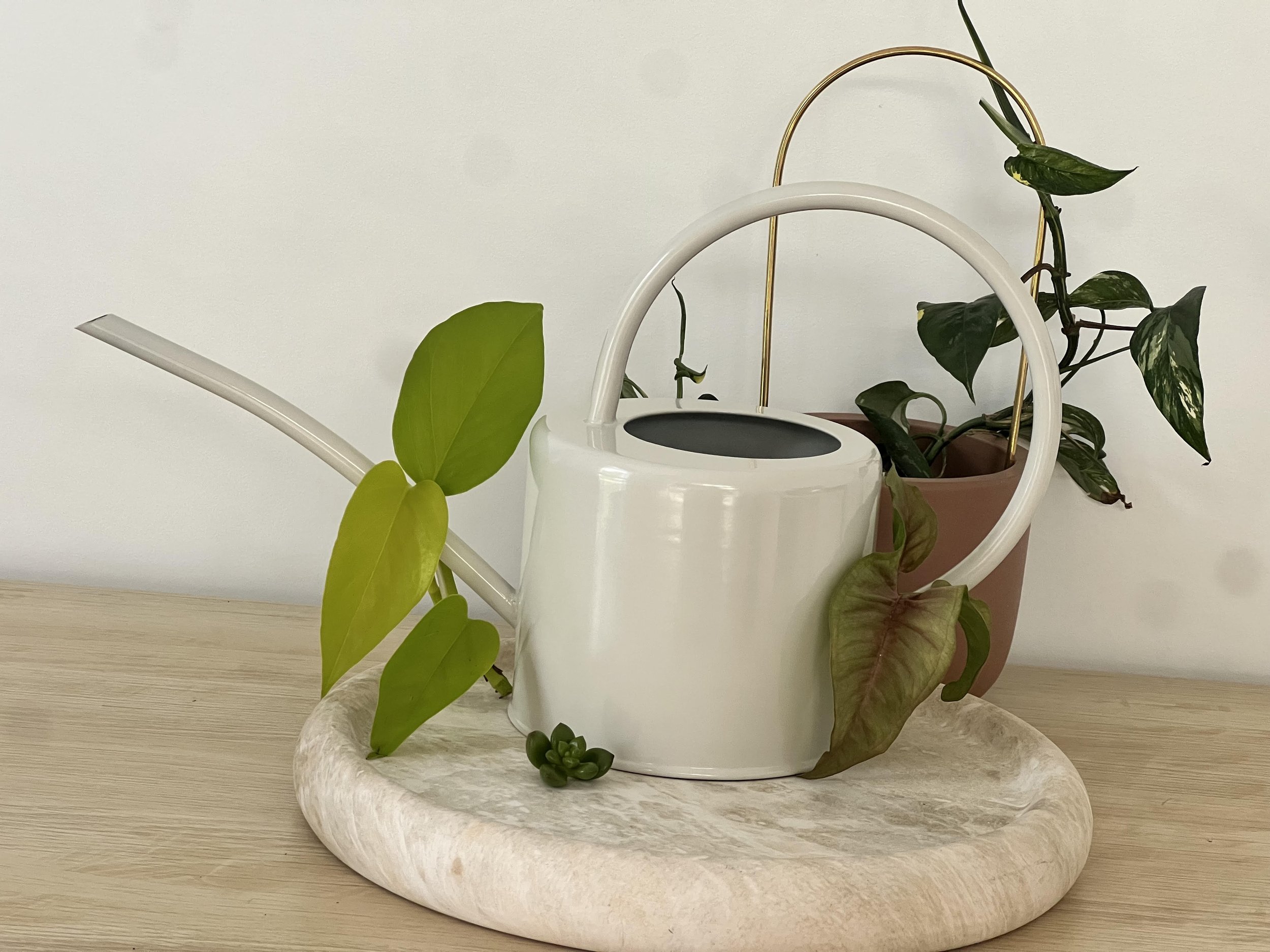 Chalk Watering can 1.9L.jpg
