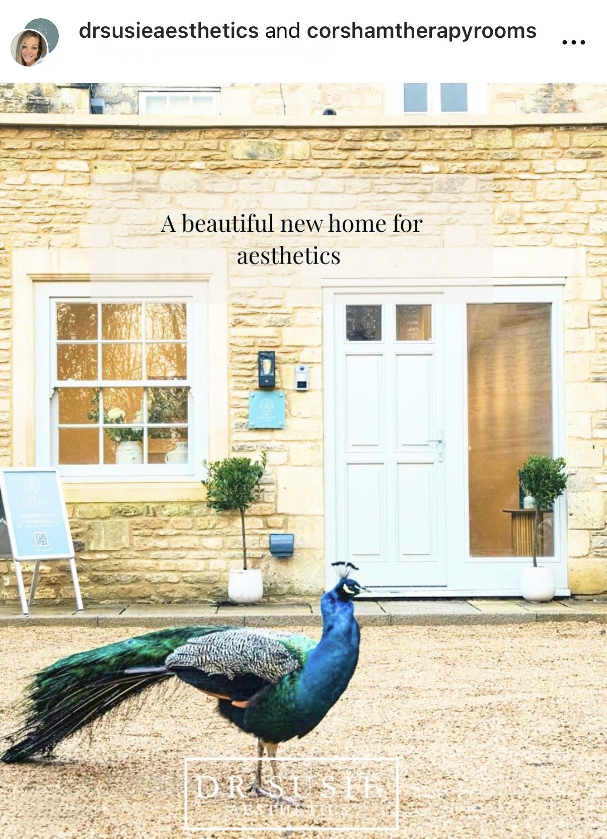 A peacock standing outside a house with a stone facade, white window and door frames, and potted plants. The image has text that reads, 'A beautiful new home for aesthetics' and the logo 'DRSUSIE' at the bottom.