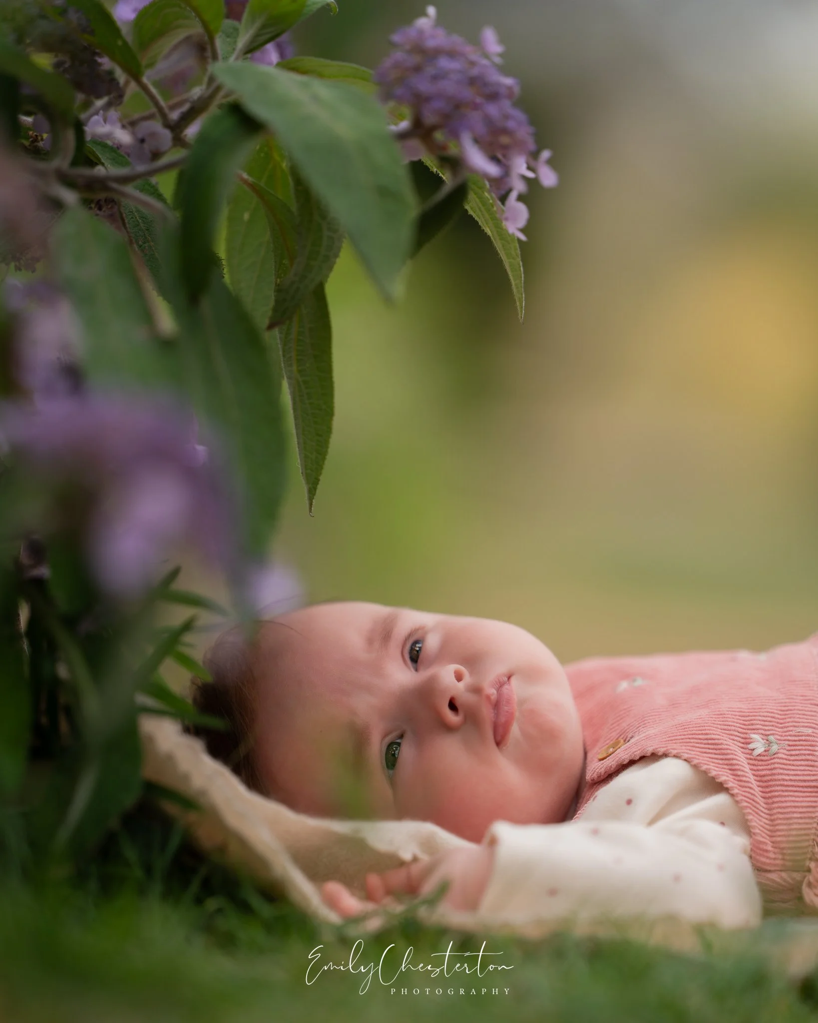 EC208188-Edit-260806socialmedia.jpg